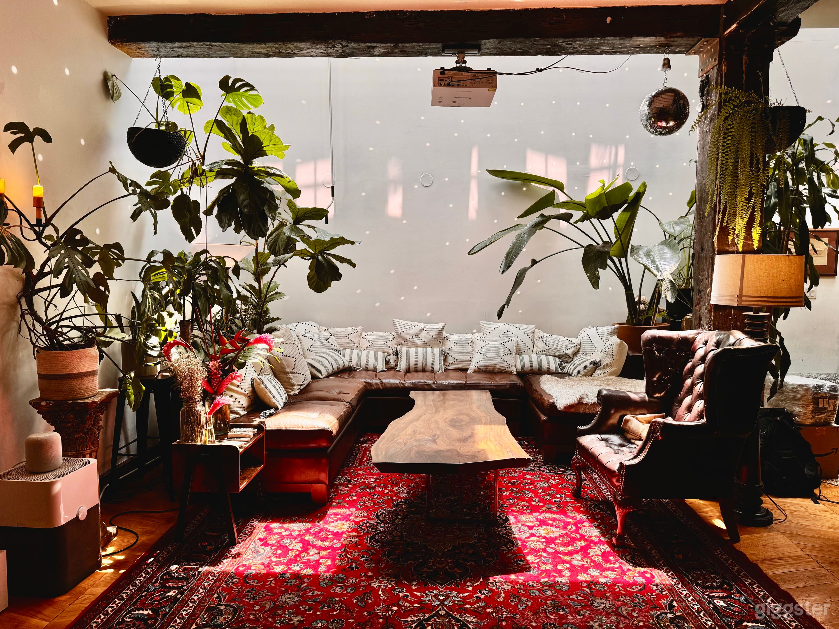 Luxury Mid-Century Modern Oasis in Williamsburg Photo 2