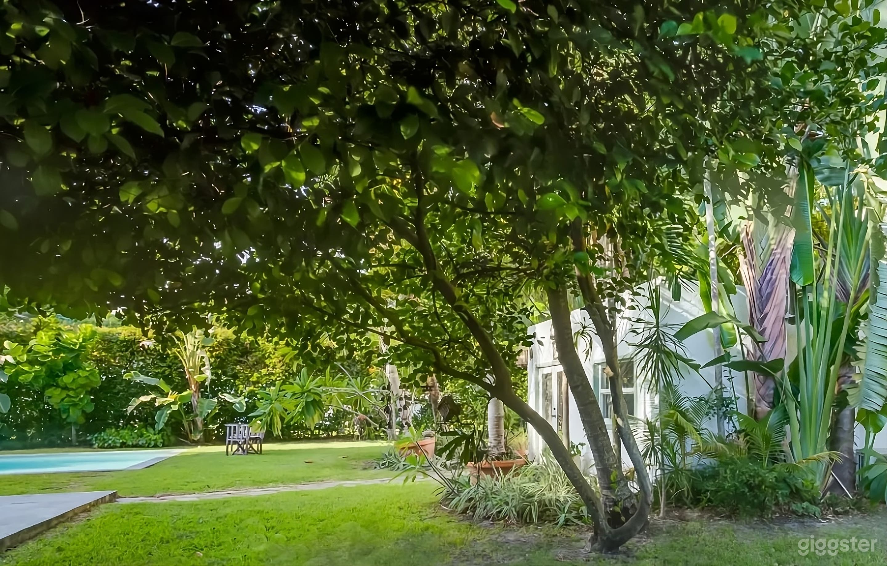 Gorgeous Tropical Backyard Photo 3