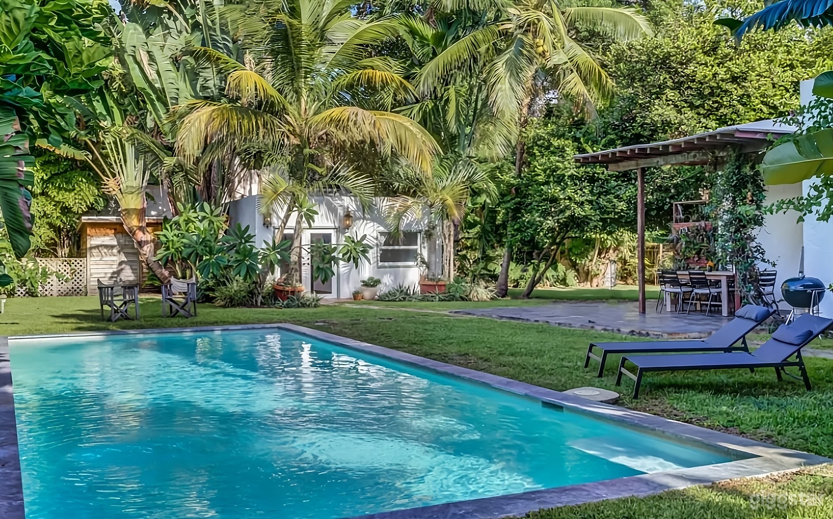 Gorgeous Tropical Backyard Photo 4