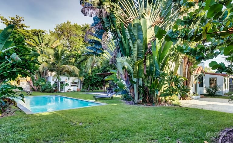  Gorgeous Tropical Backyard 