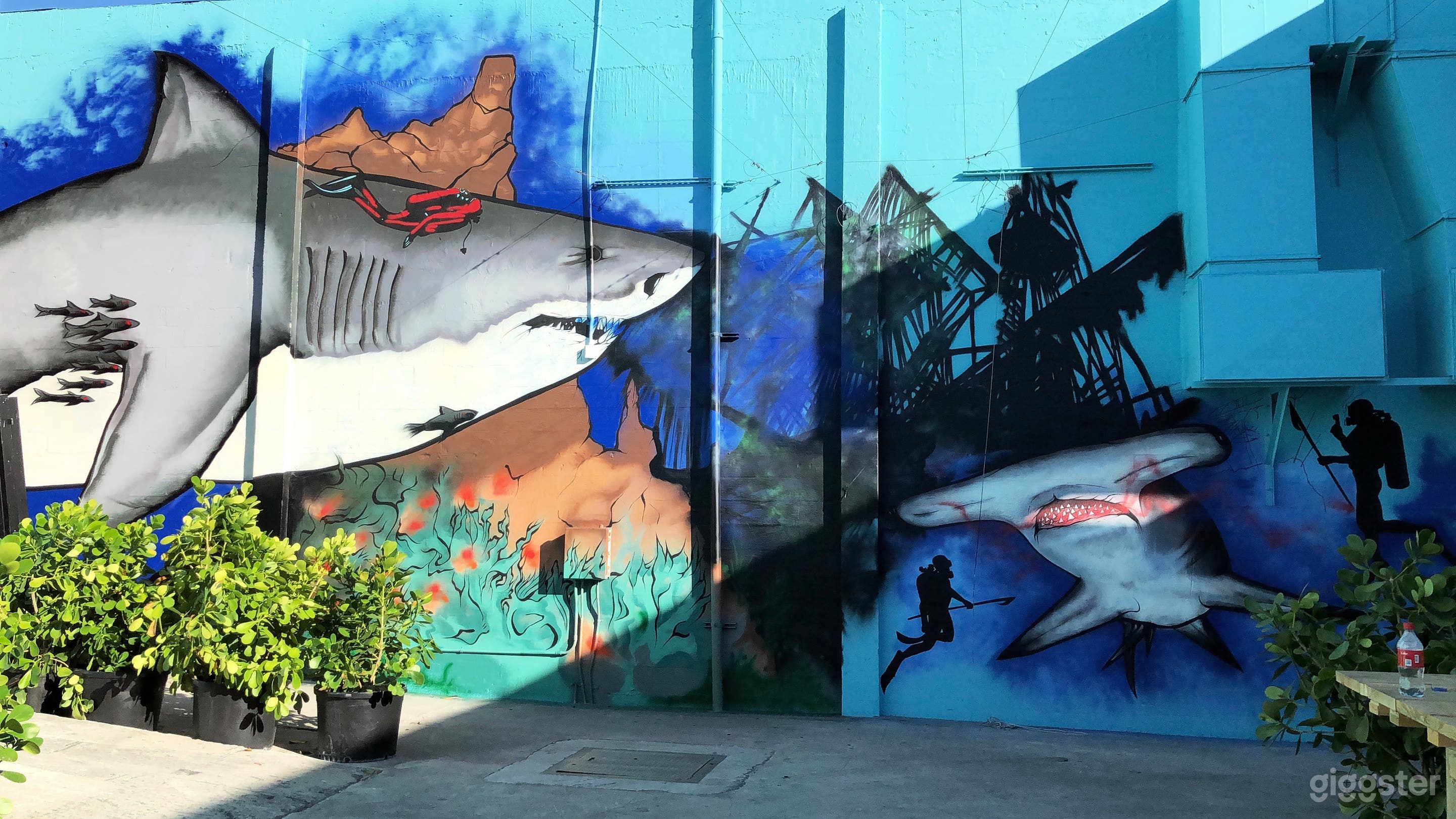 The Pool Area Photo 3