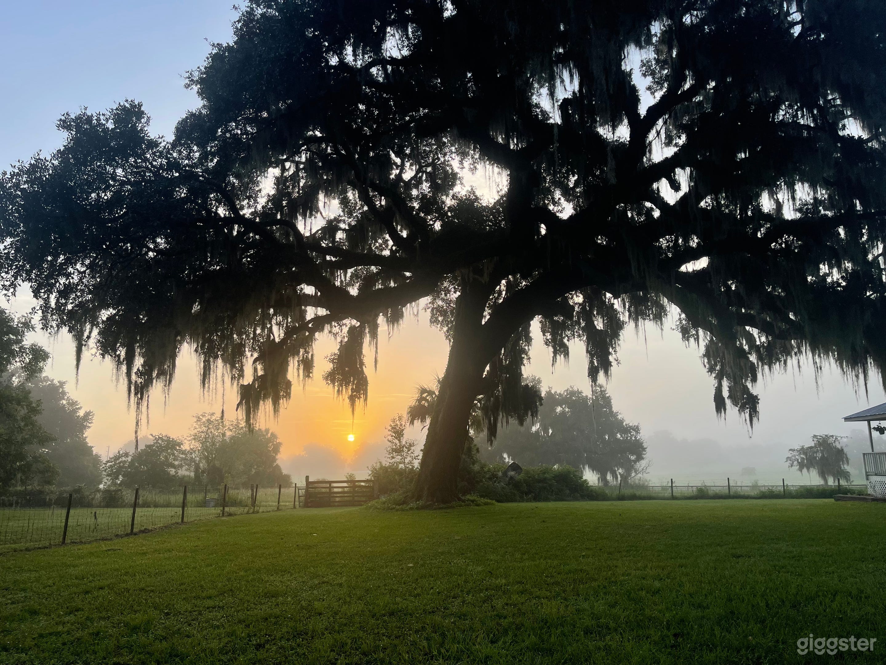 Shaded Oaks Outdoor Studio & Gathering Space Photo 2