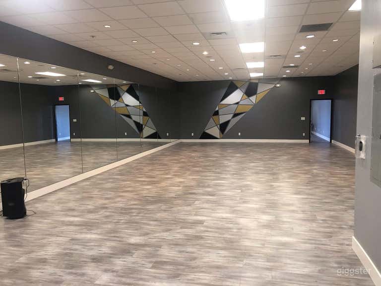  Spacious Studio in Sunnyvale (Studio A) 