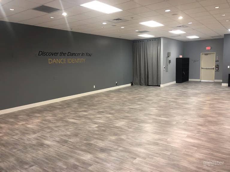  Spacious Studio in Sunnyvale (Studio A) 