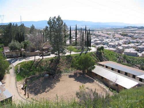 Large Horse Arena with Vast Meadows  Photo 2