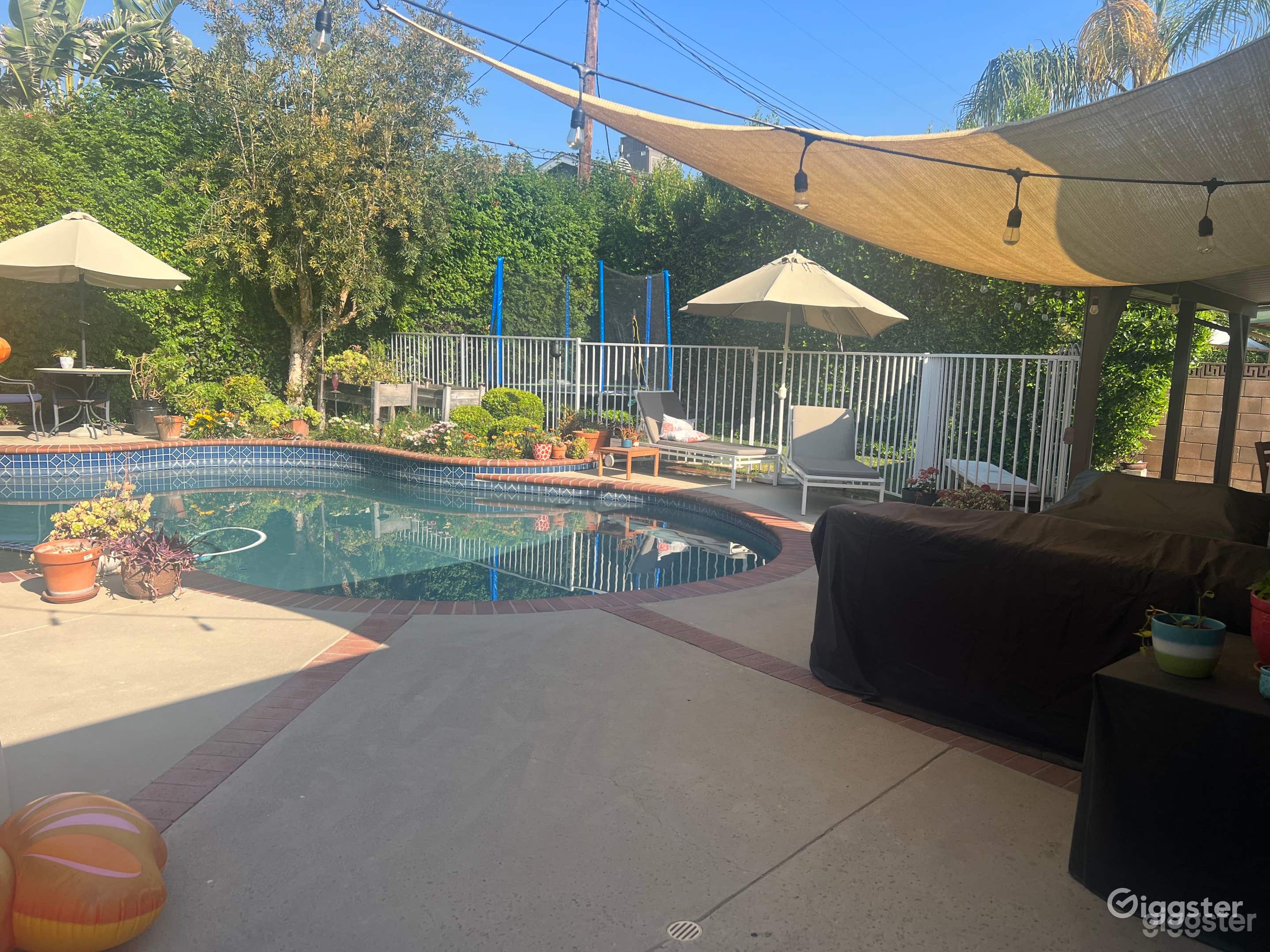 Outdoor Pool with Green Backyard Photo 3