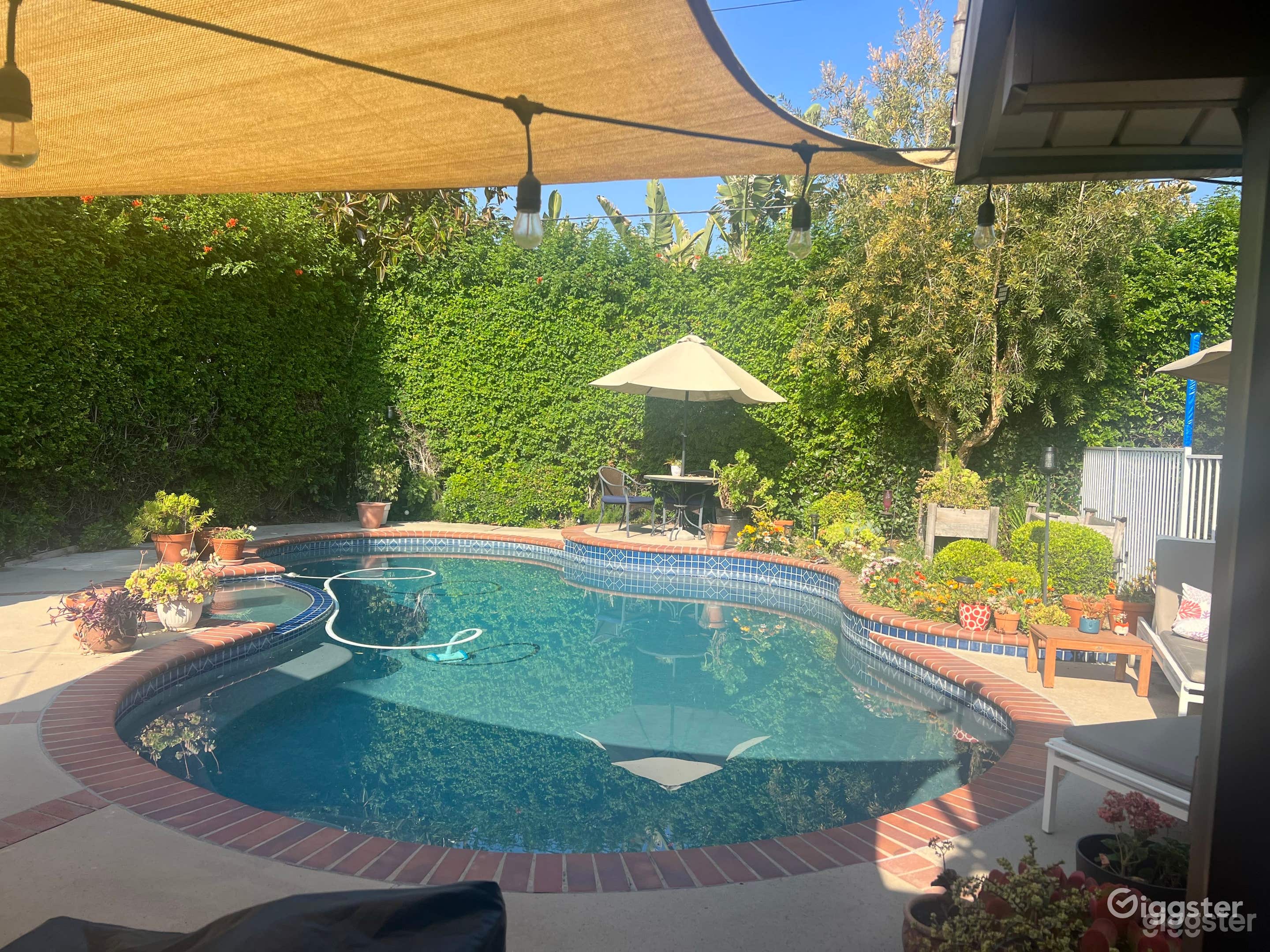 Outdoor Pool with Green Backyard Photo 1