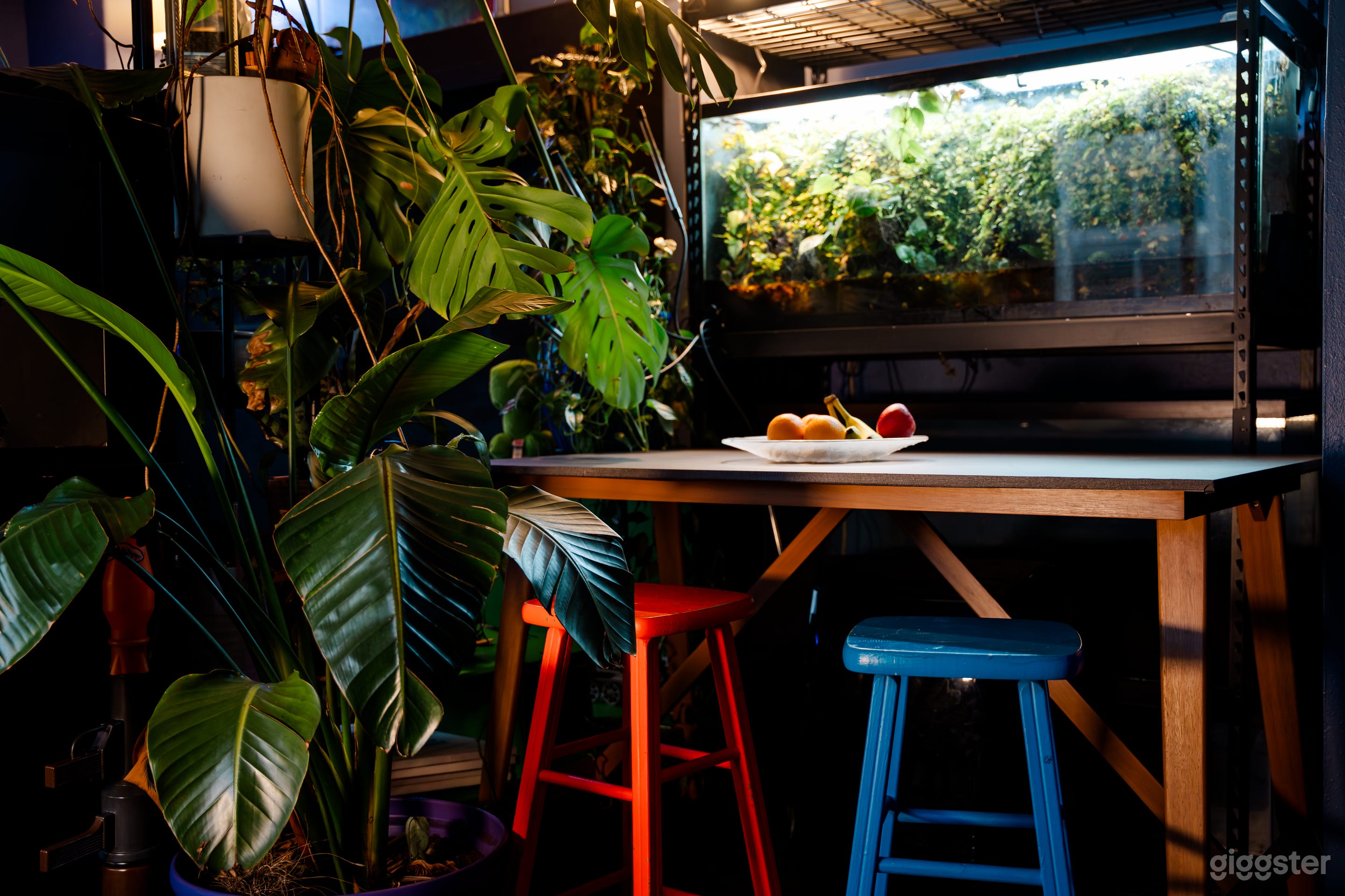 Enchanting Creative Studio Apartment Photo 1