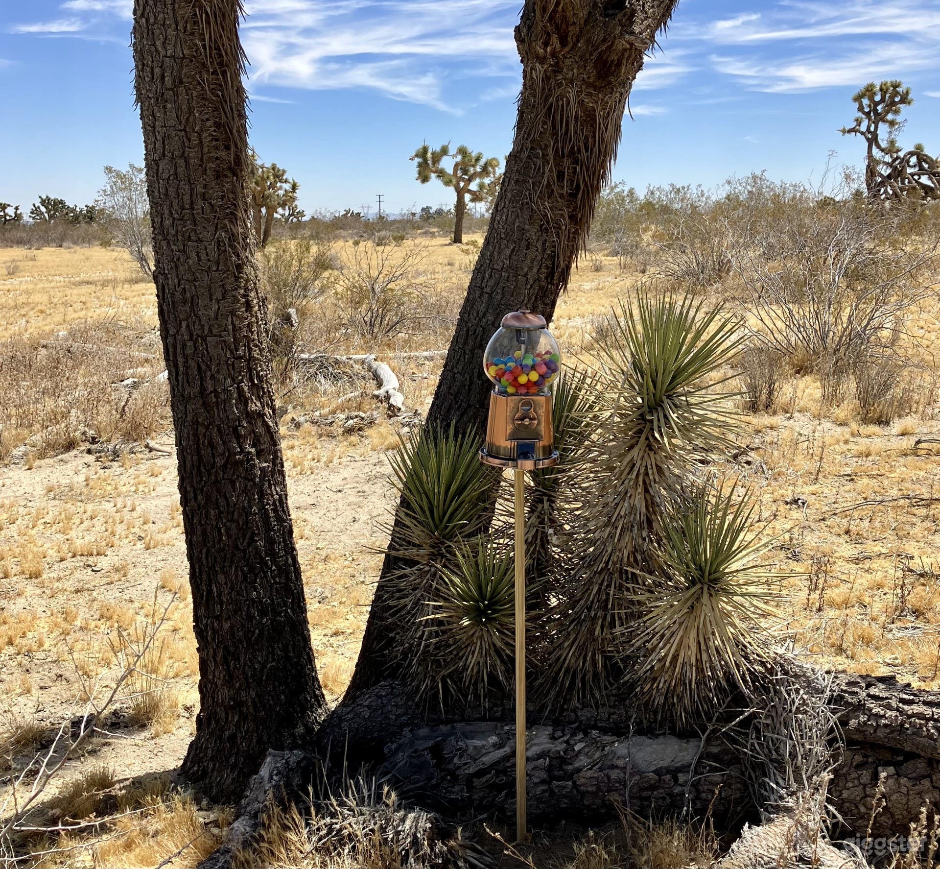 Off-grid Desert Landscape Photo 4