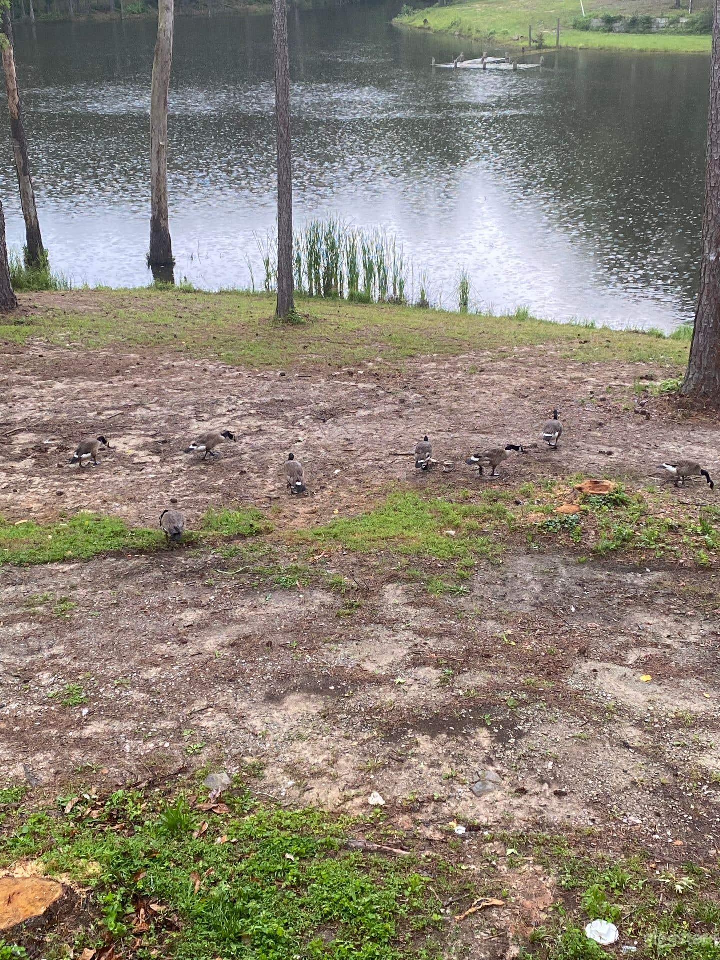 Lakehouse in the city Photo 2