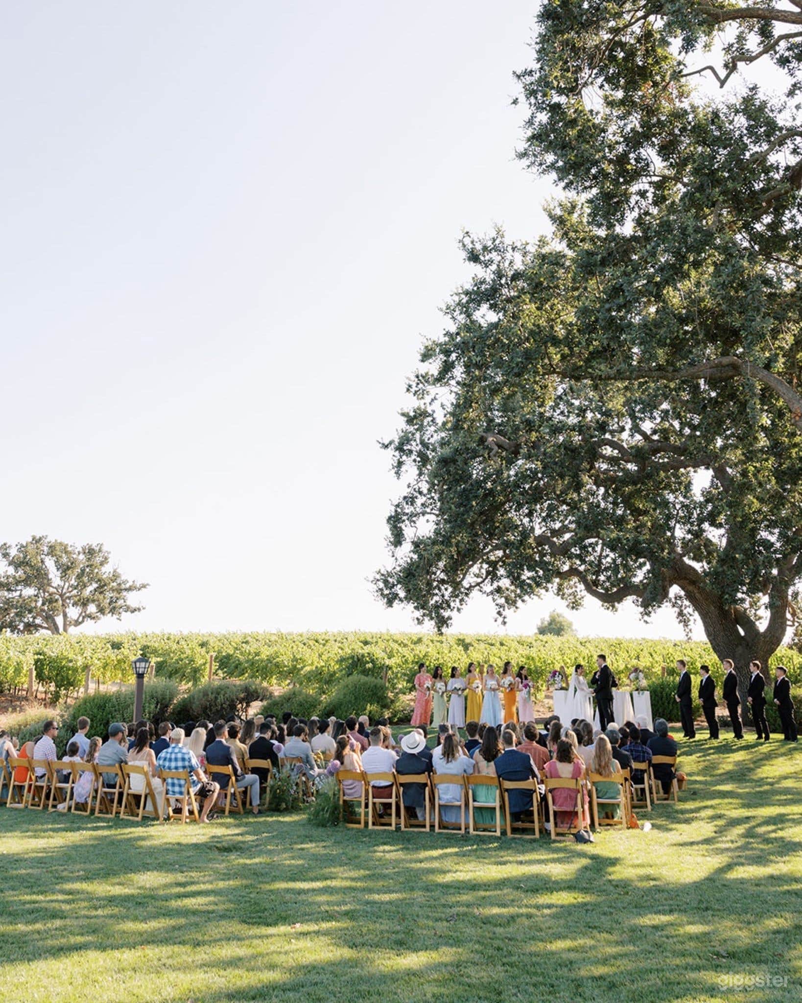 Vineyard View Lawn Photo 4