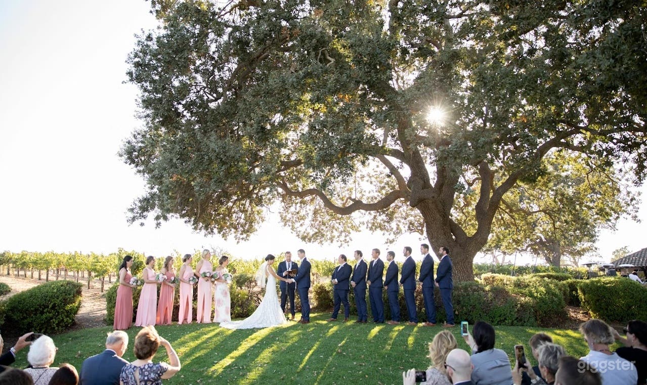 Vineyard View Lawn Photo 1