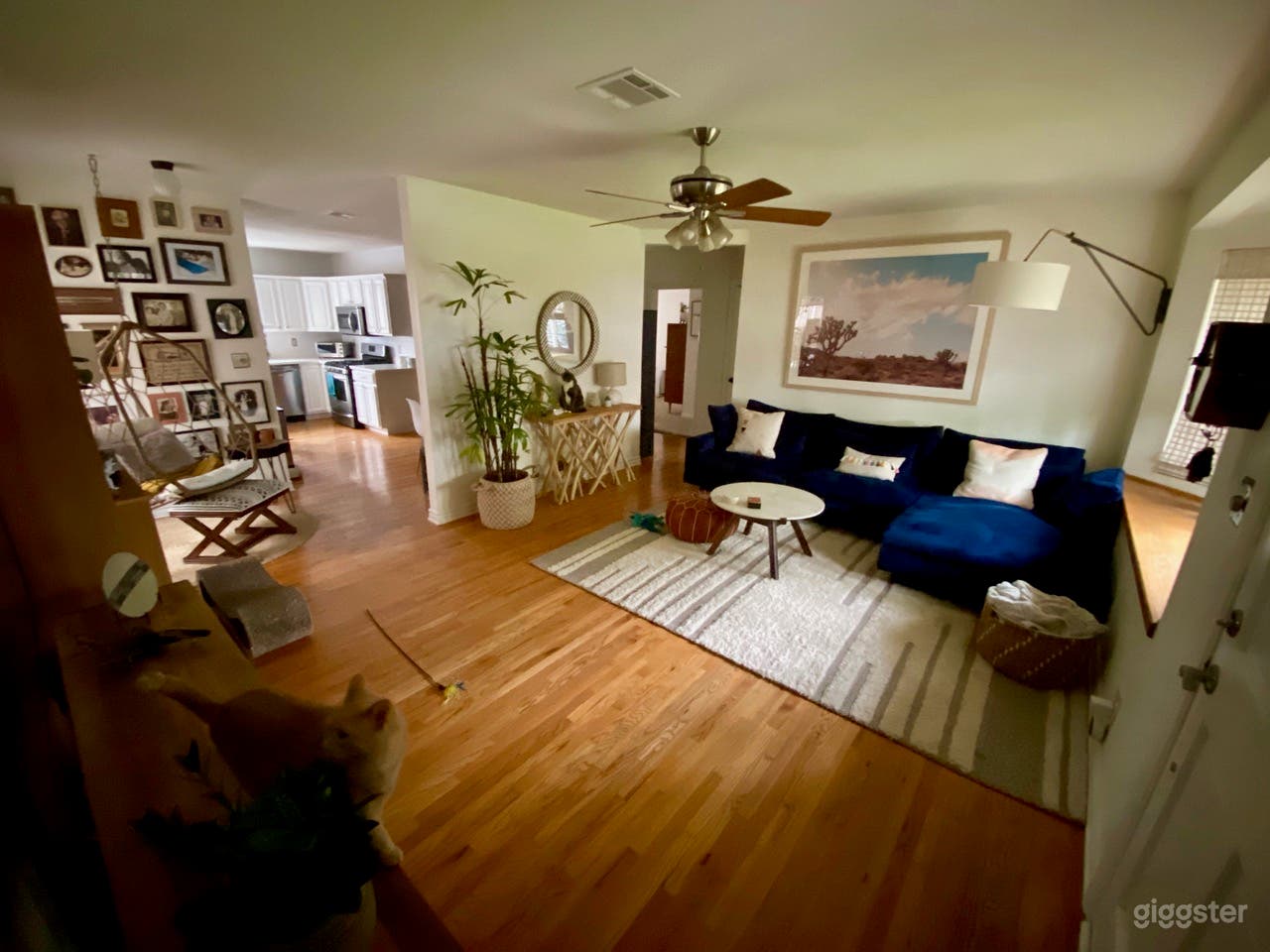 Entrance/Living Room