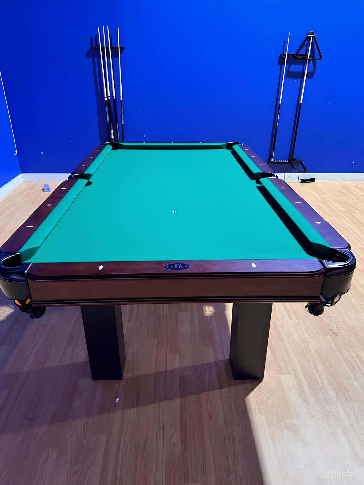 Snooker Room Photo 2