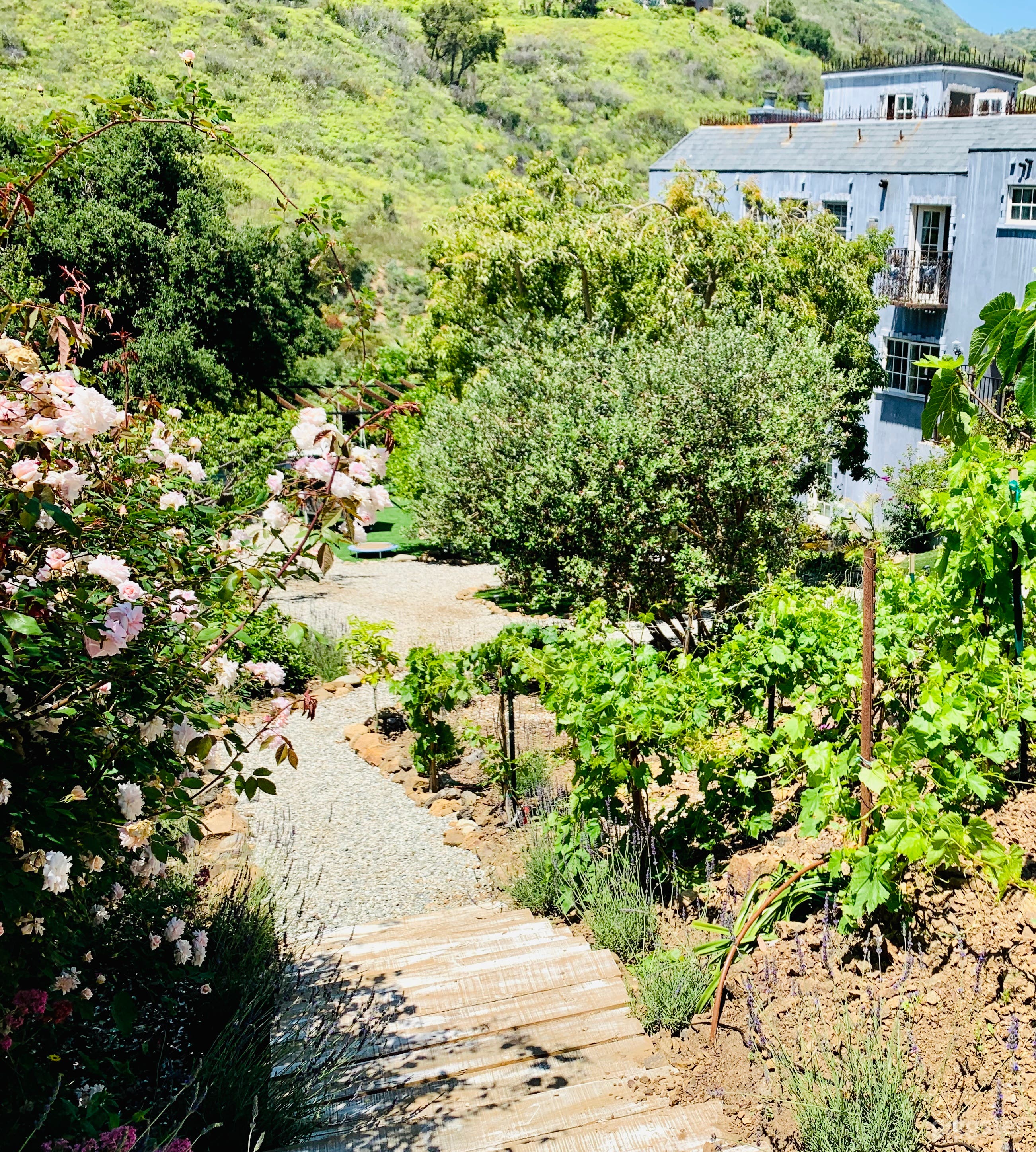 Malibu Vineyard Garden Chateau Close to Town Photo 3