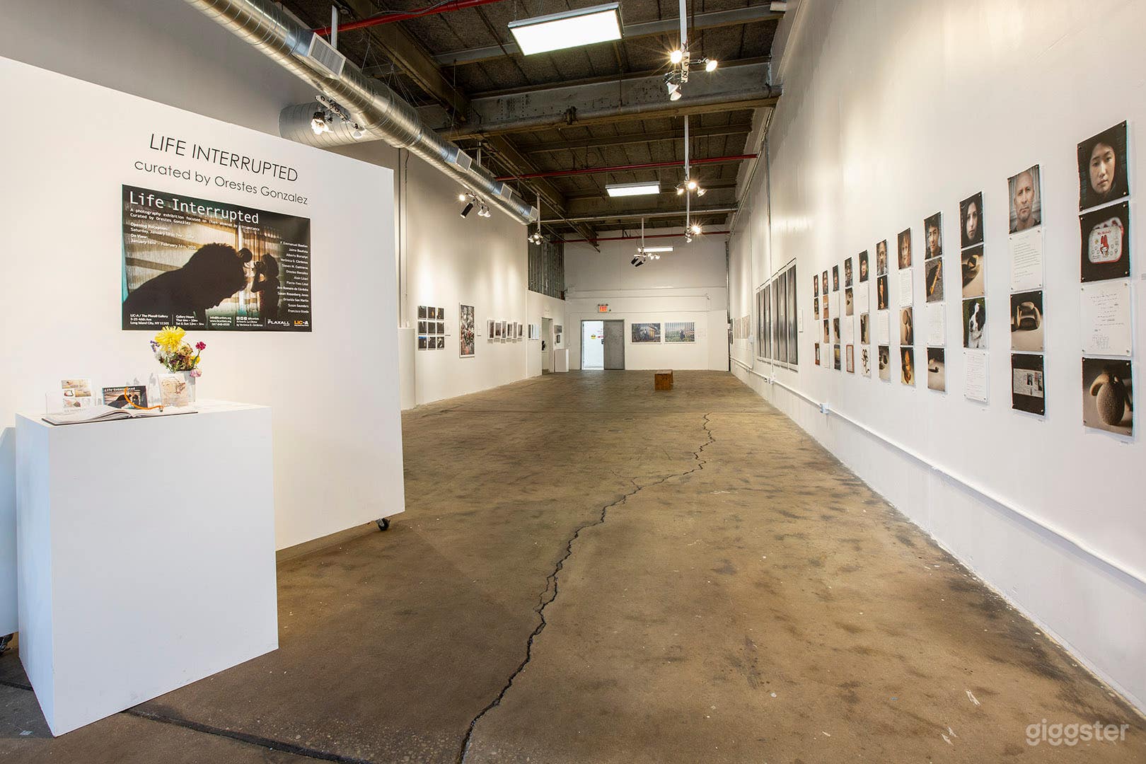 Front Gallery 1 - looking from door to the back 