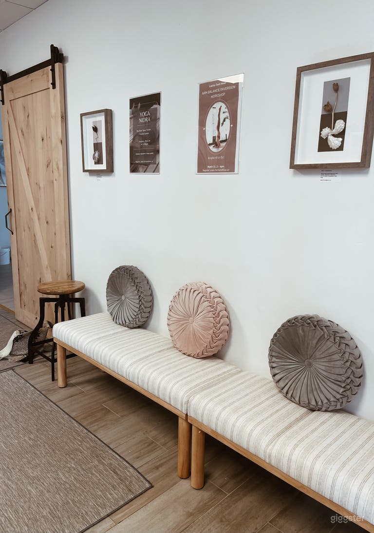  Daylight Photoshoot Creative Studio 