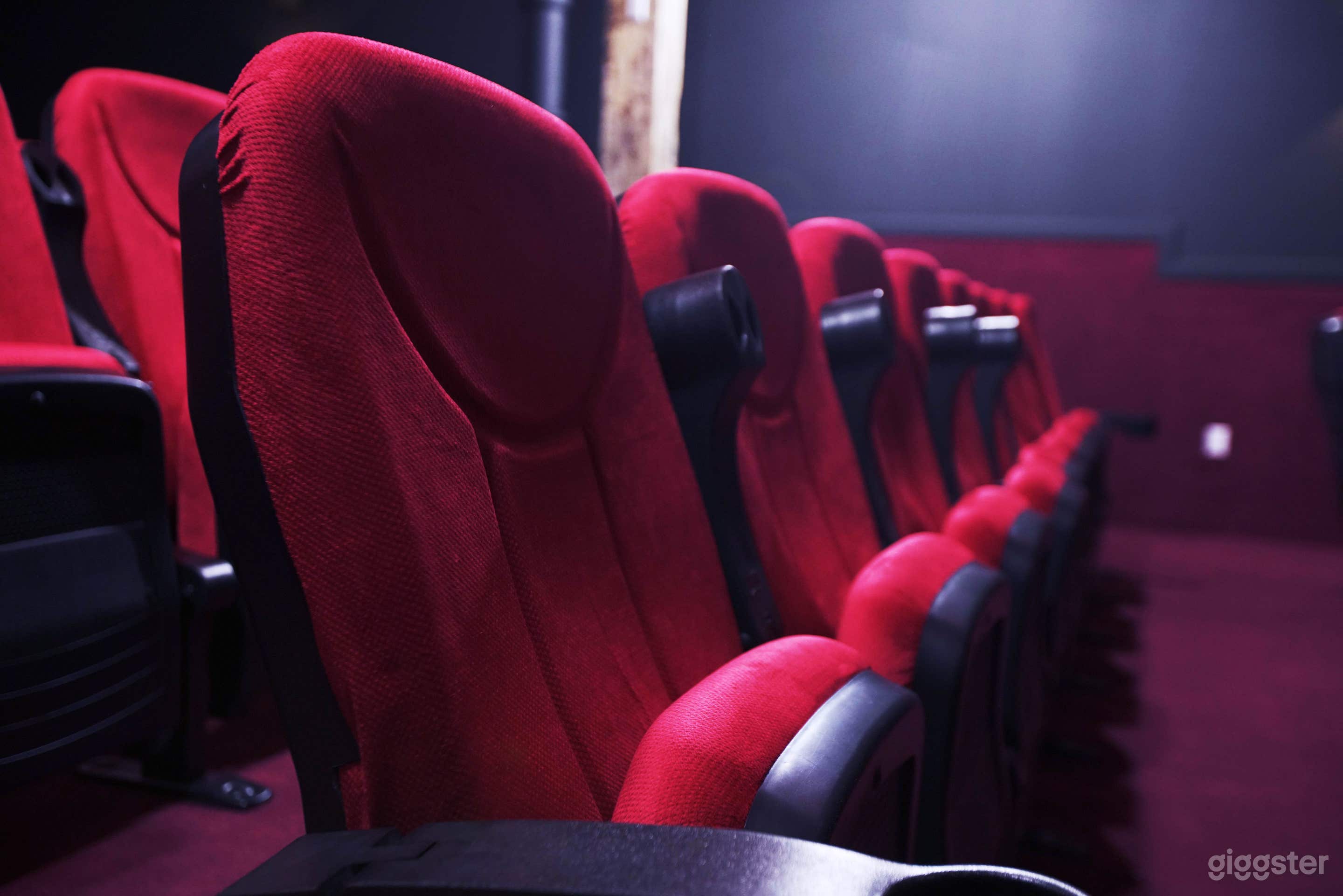 Screening Room Photo 4