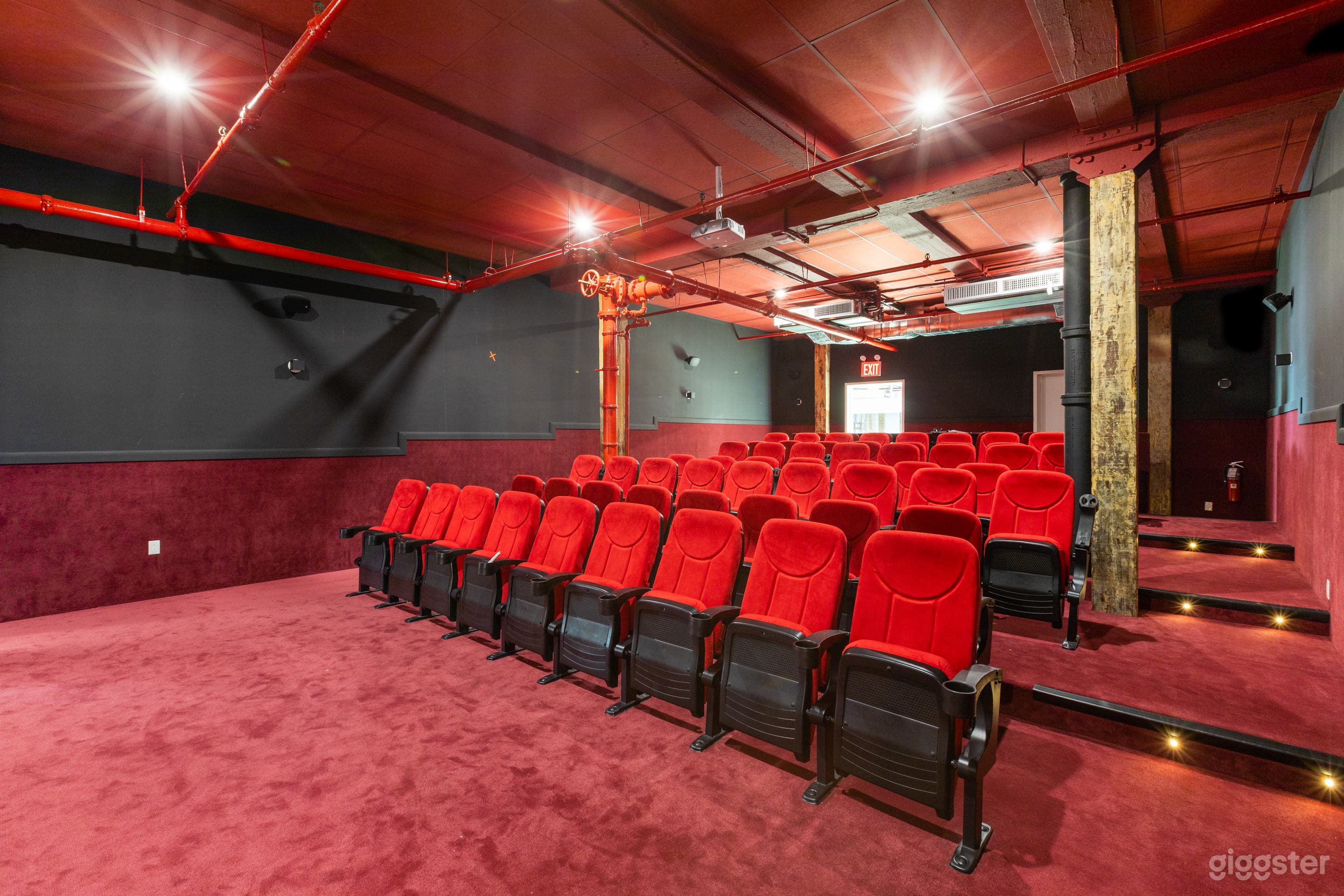 Screening Room Photo 1