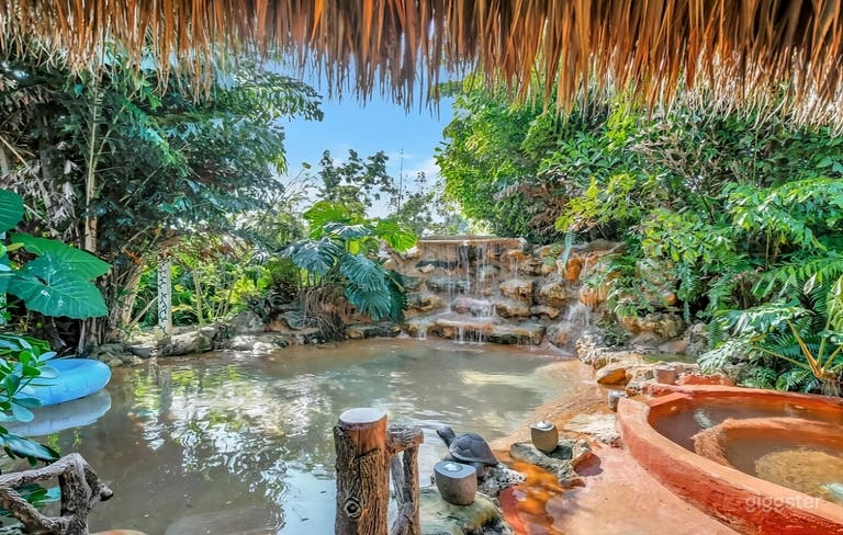  Ultimate Landscaped Backyard 