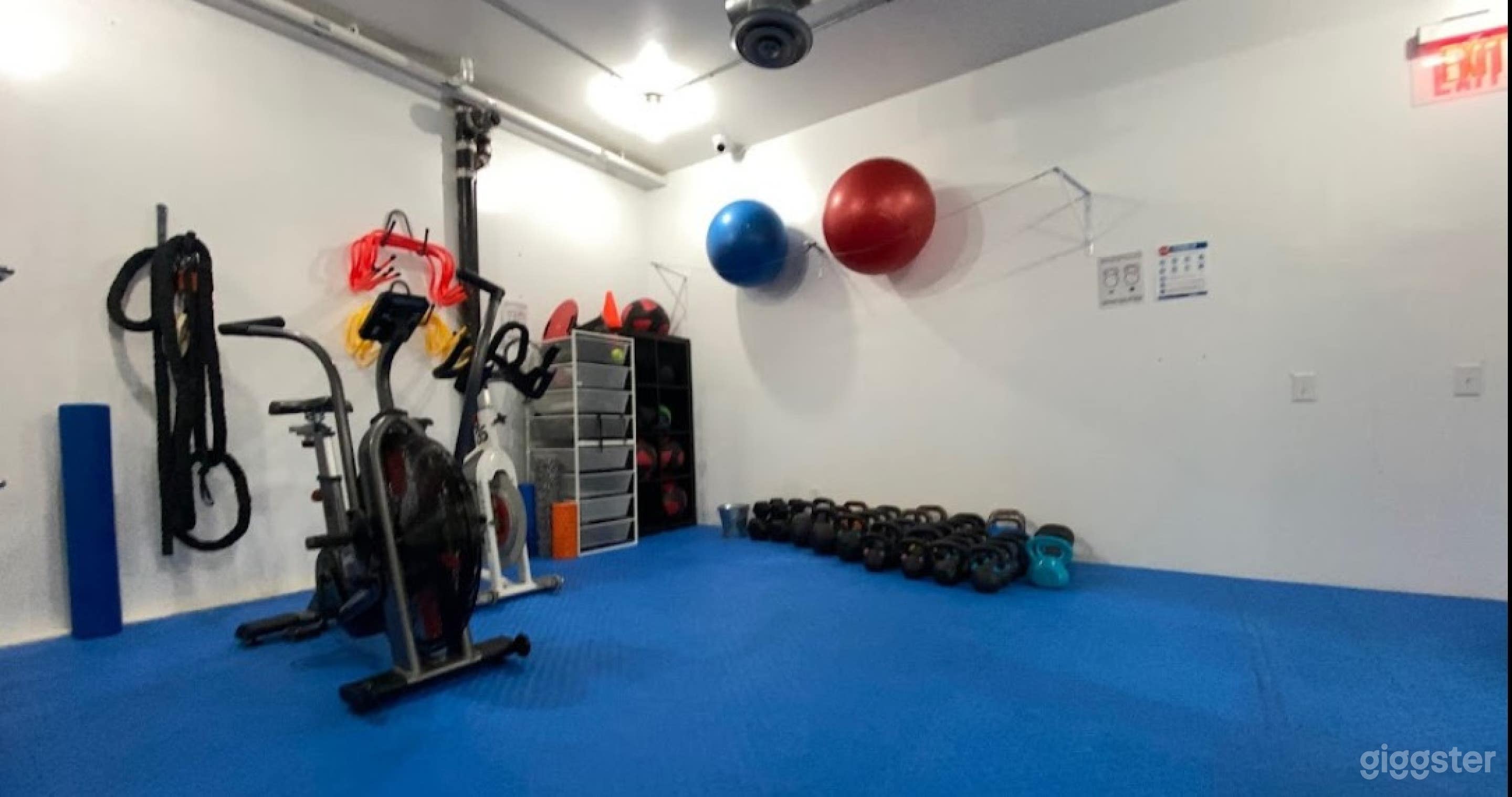 Fully Equipped Weight Training Studio In Toronto Photo 1