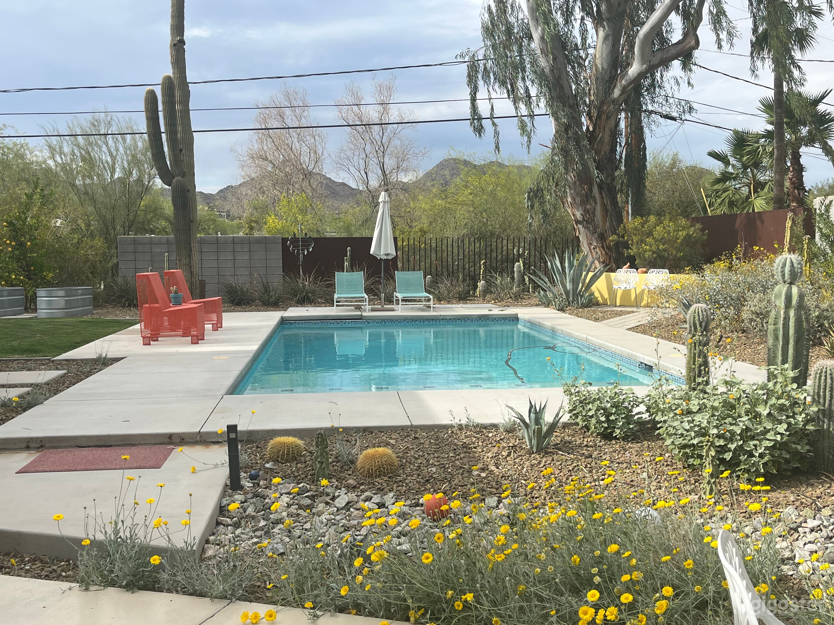 Lovely Rectangular Pool Oasis Photo 1