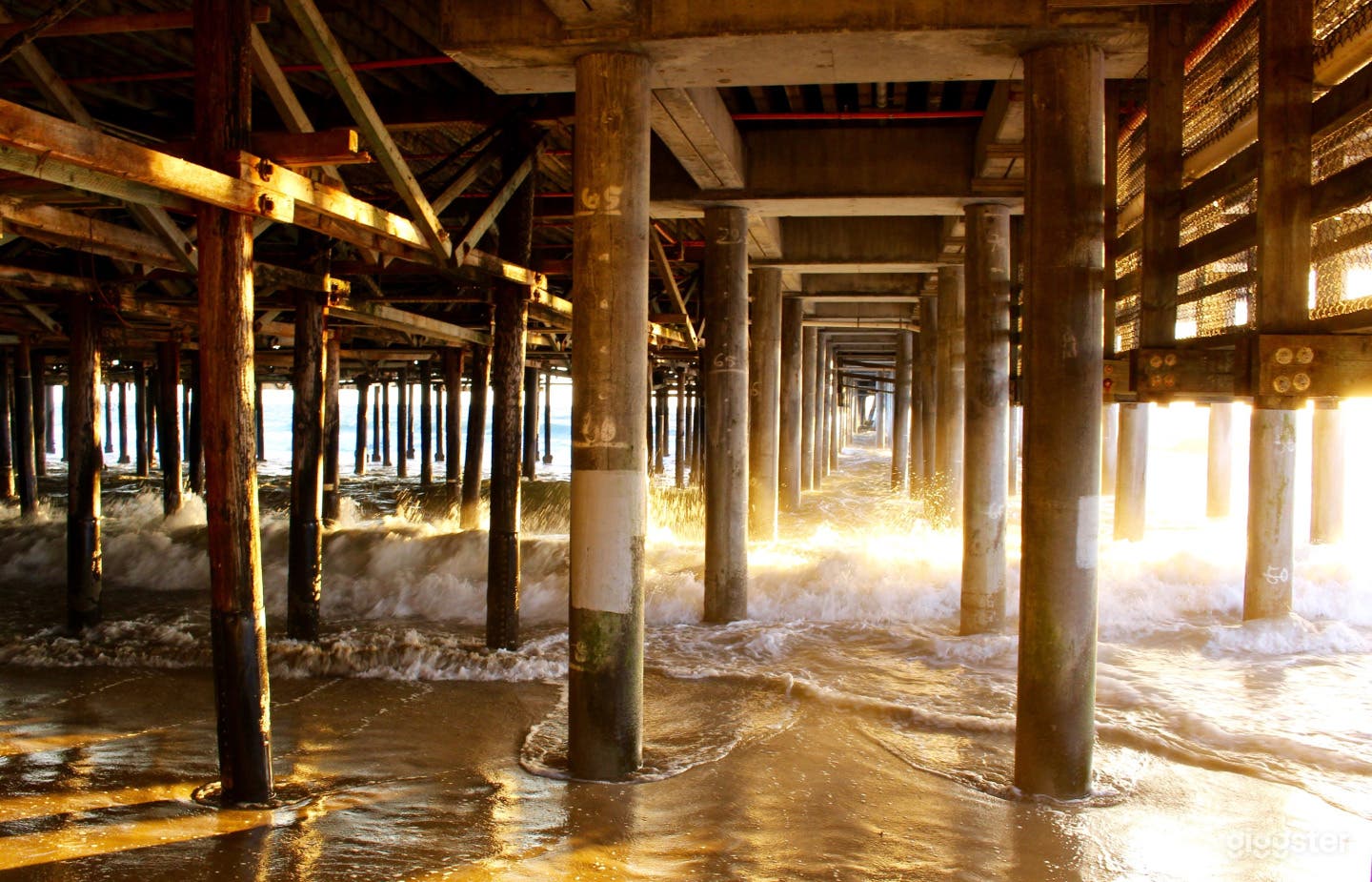 Under the Santa Monica Pier Photo 1