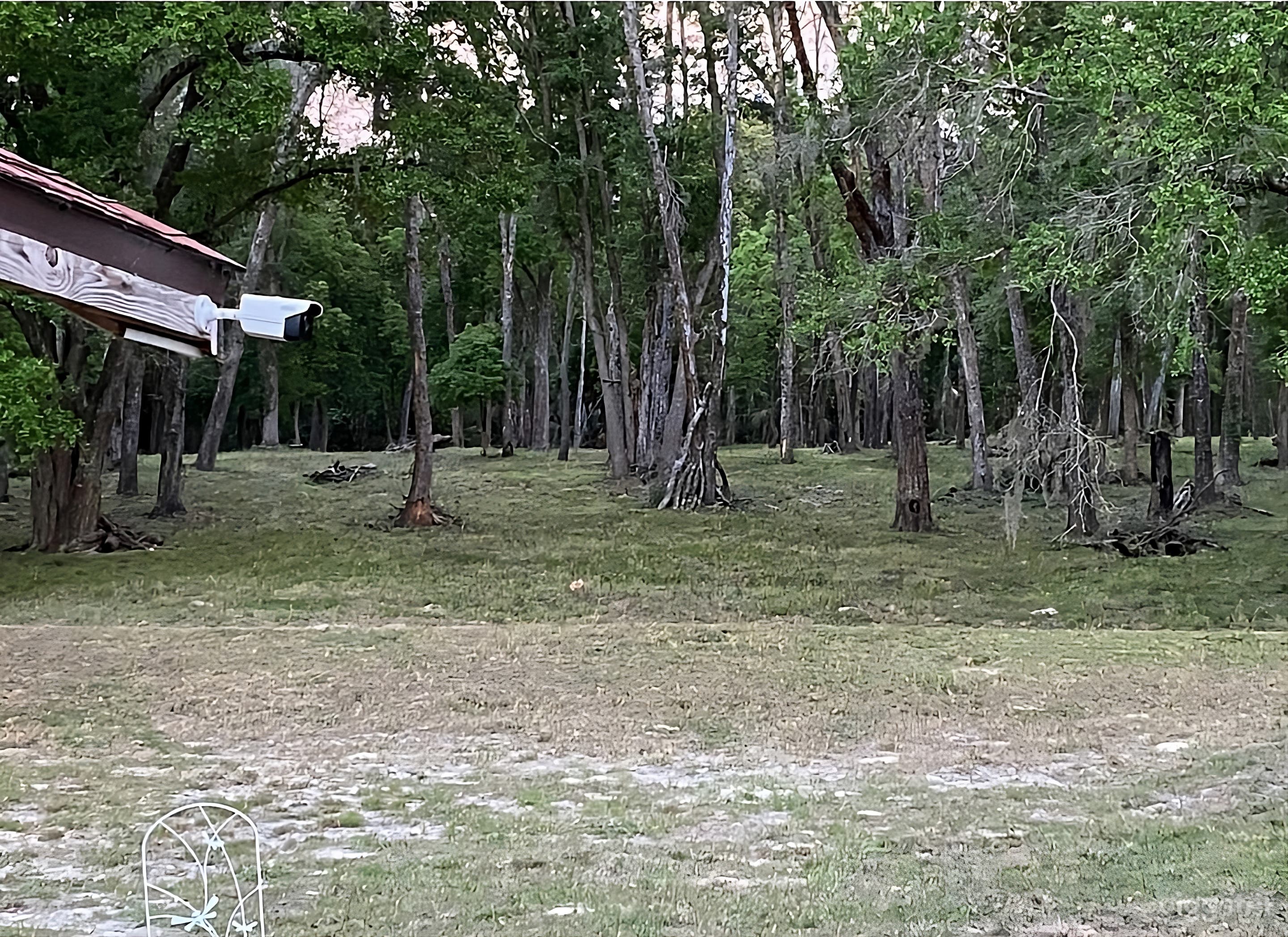Spacious Backyard Featuring Fountain and Shady Oaks Photo 2