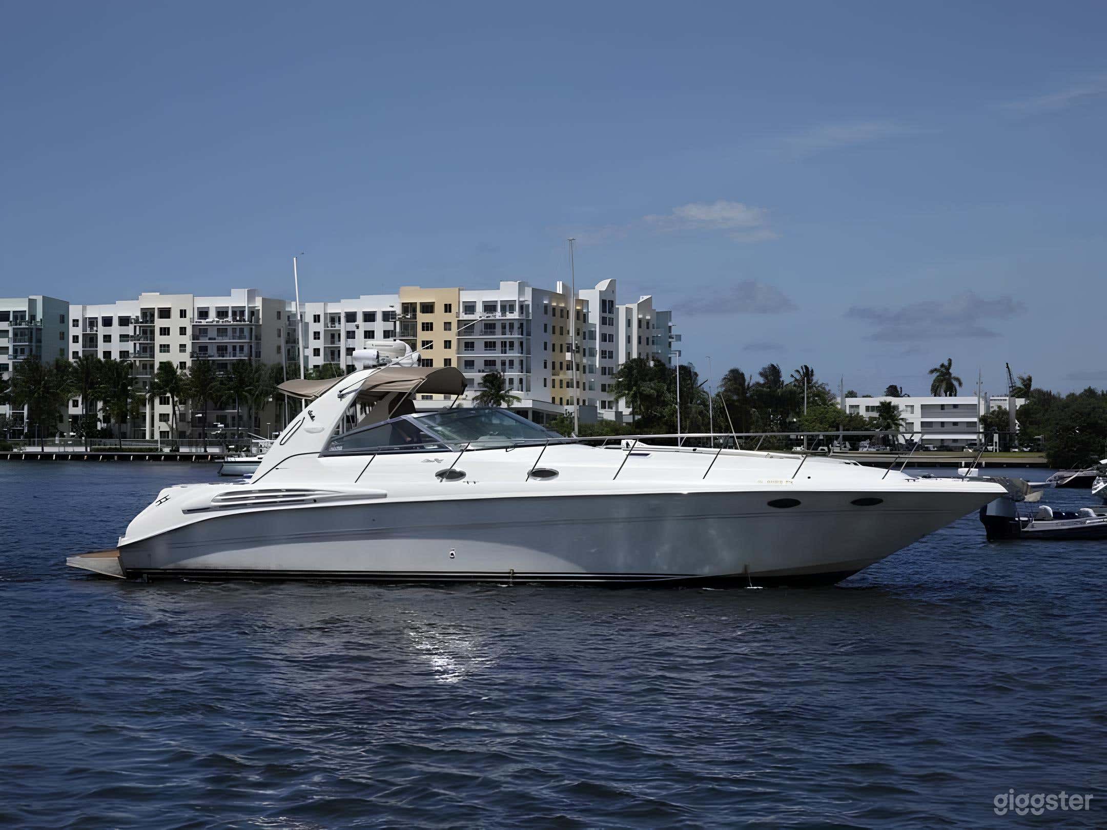 45’ Sea Ray Sun Dancer Yacht with ONE FREE HOUR Photo 3