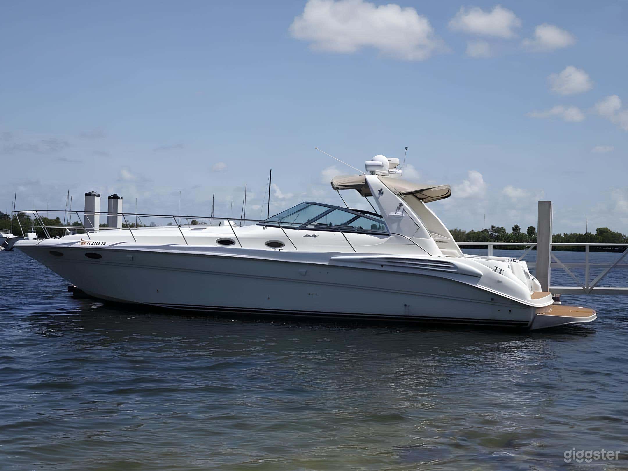 45’ Sea Ray Sun Dancer Yacht with ONE FREE HOUR Photo 4