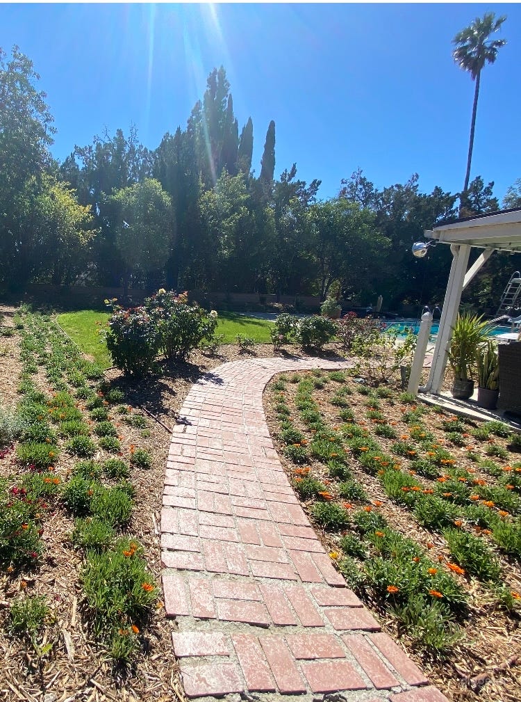 Beautiful Spacious mid century modern Ranch  Photo 1