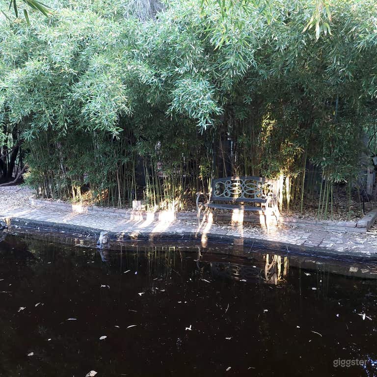  Tropical Oasis in the desert 