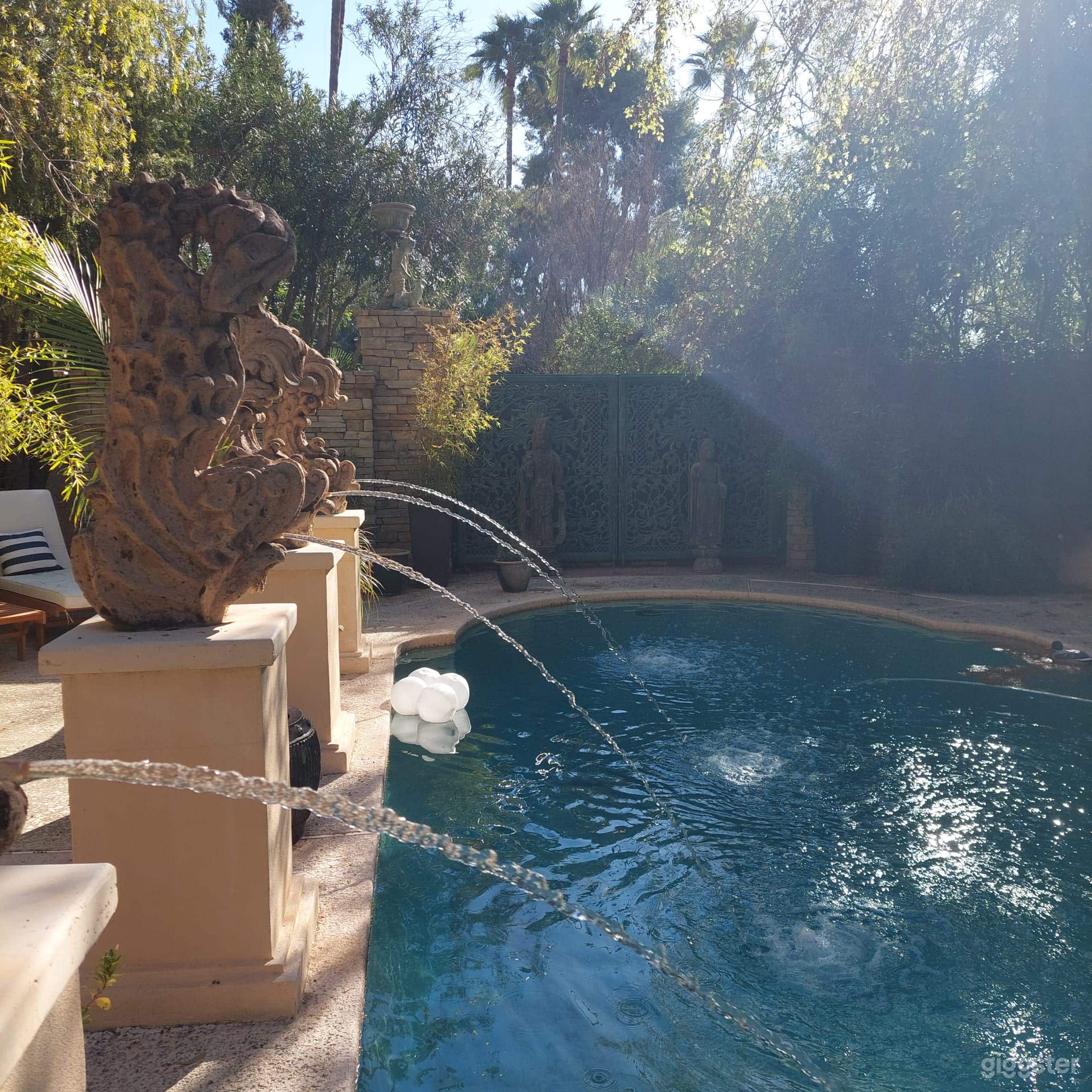 Tropical Oasis in the desert Photo 4