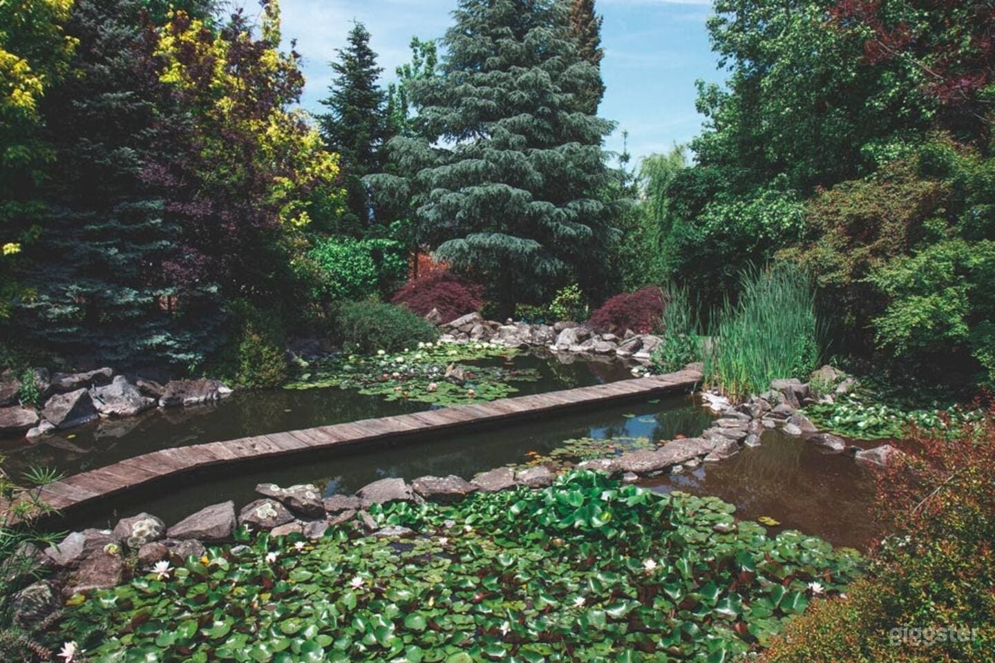 Beautiful lakeside estate Photo 4