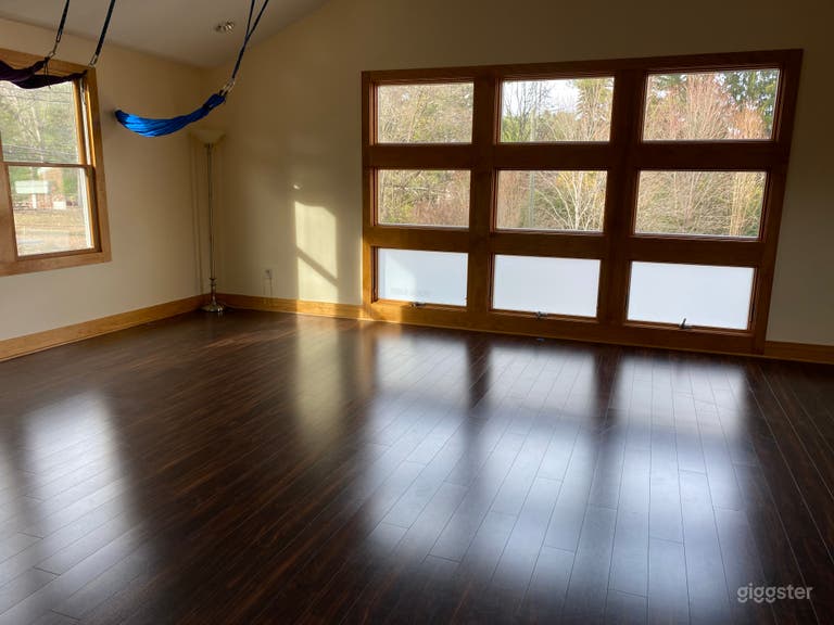  WellSpring Movement/Yoga studio 