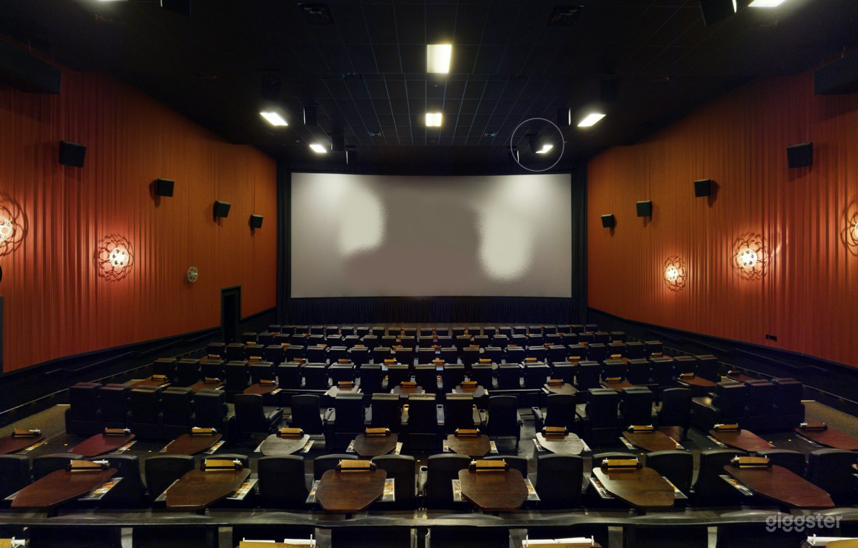 Best Cinema in VIRGINIA Photo 3