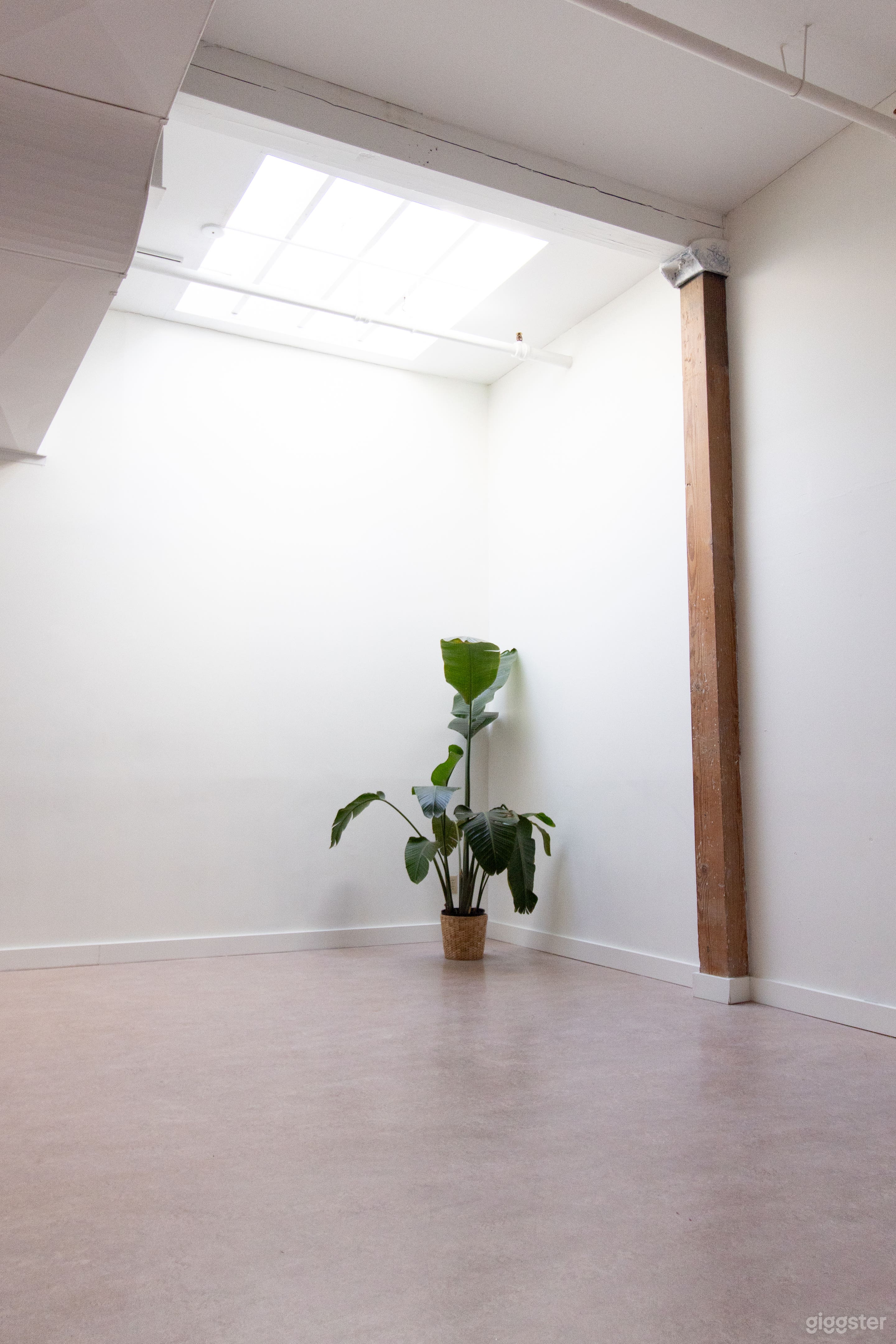 Skylights with beaming natural light