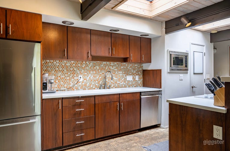  Famous Midcentury Modern Home 