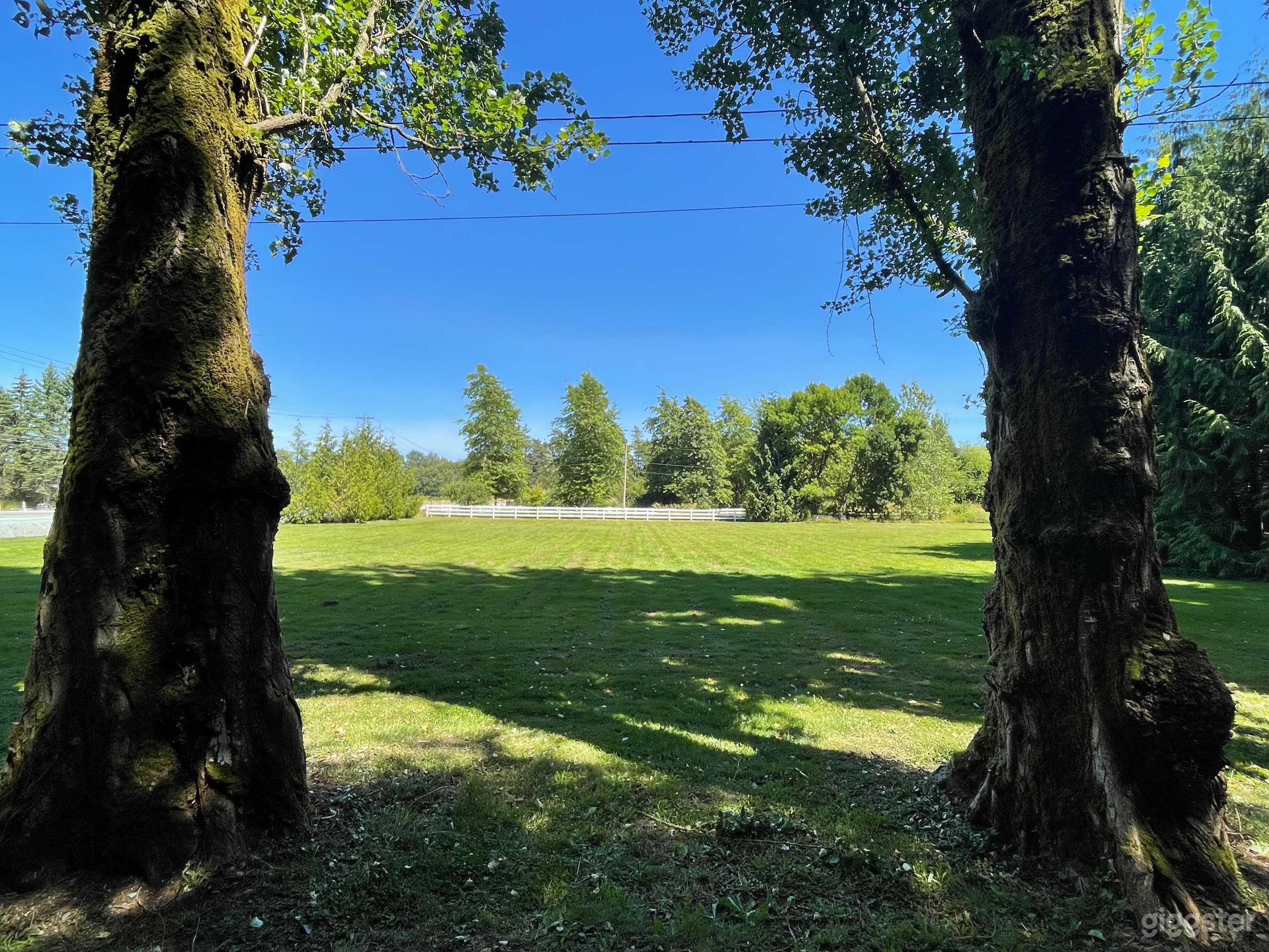 Beautiful 5 acre landscaped property Photo 2