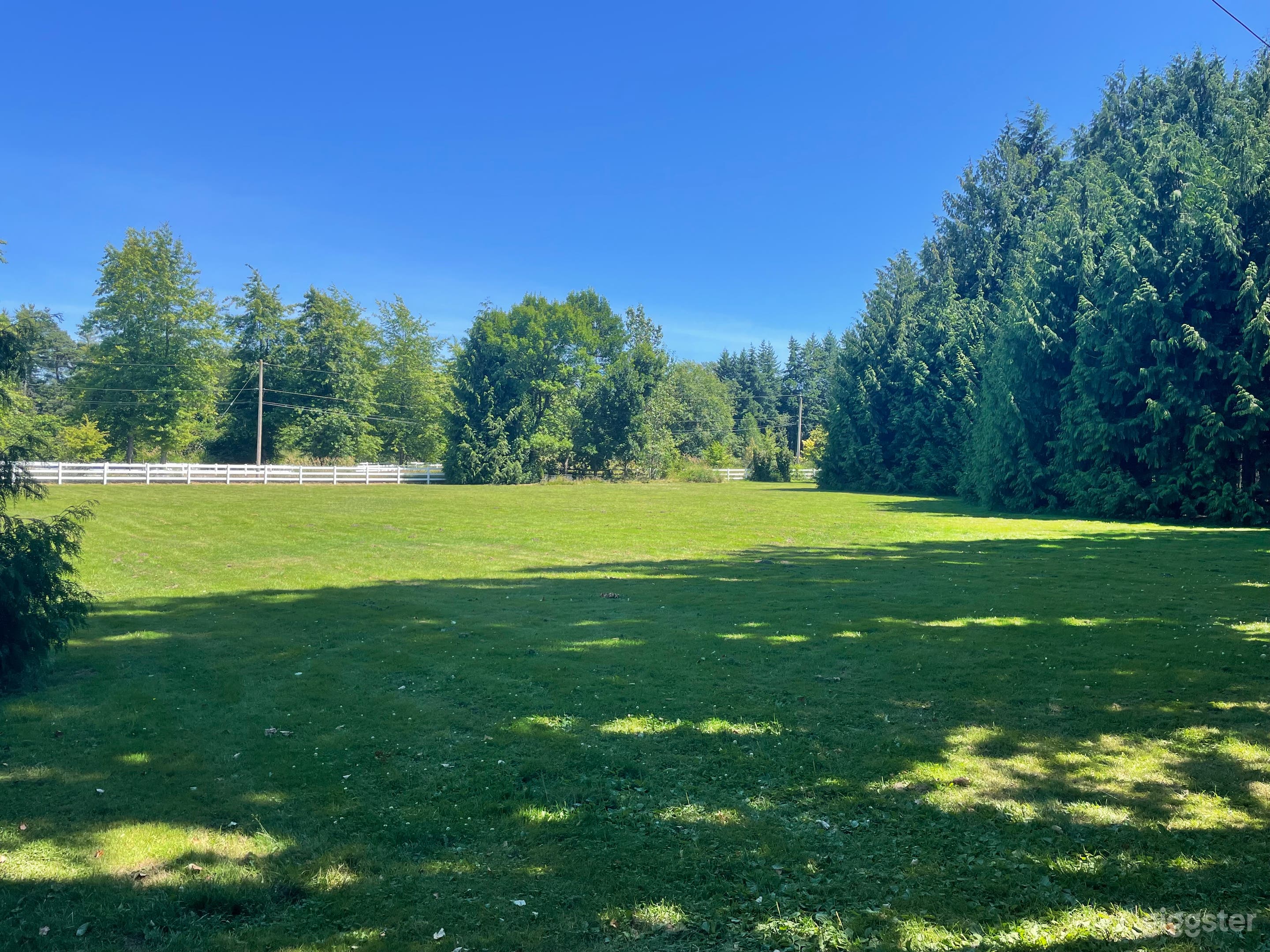 Beautiful 5 acre landscaped property Photo 3