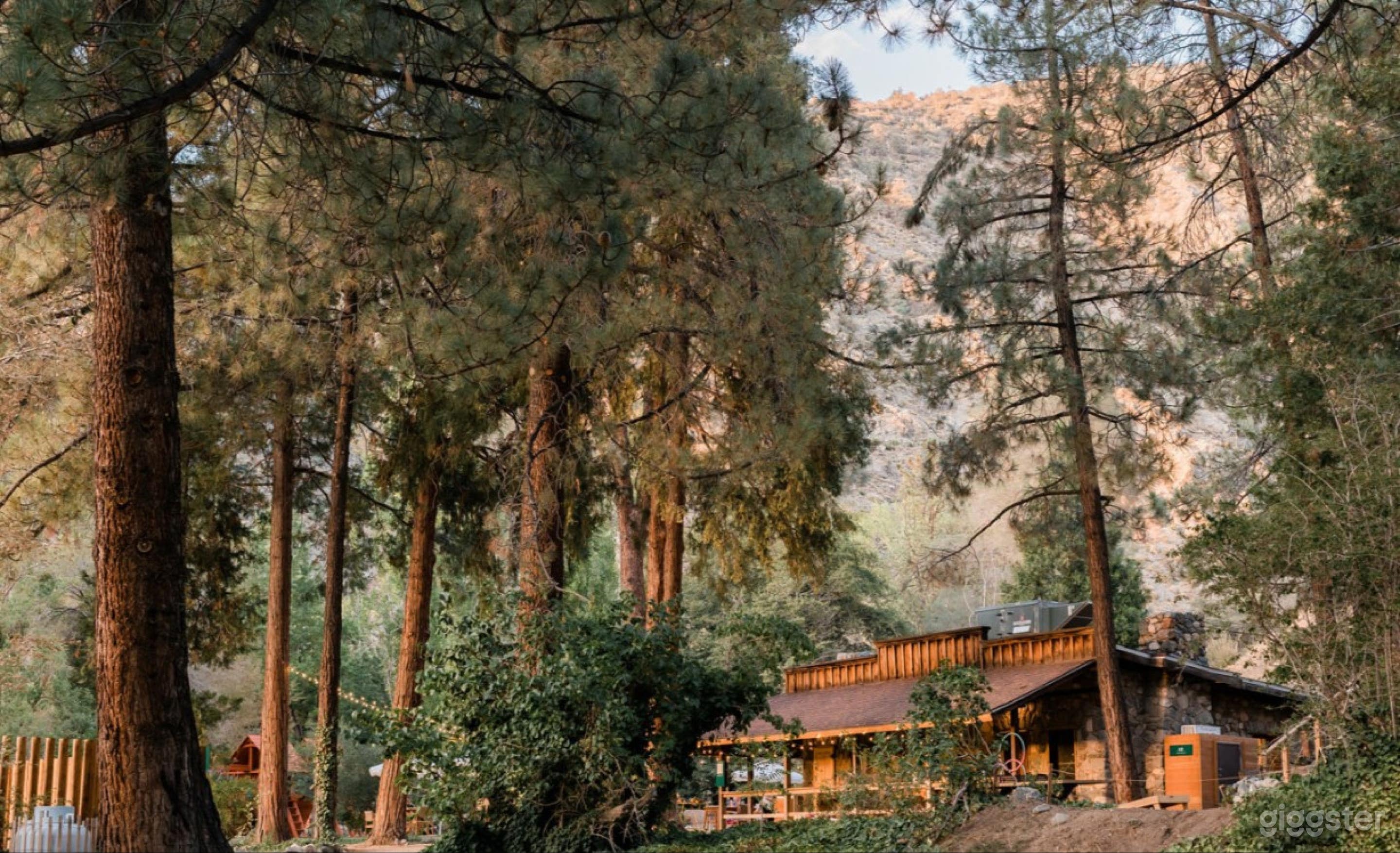 Enchanting Outdoor Space Photo 1