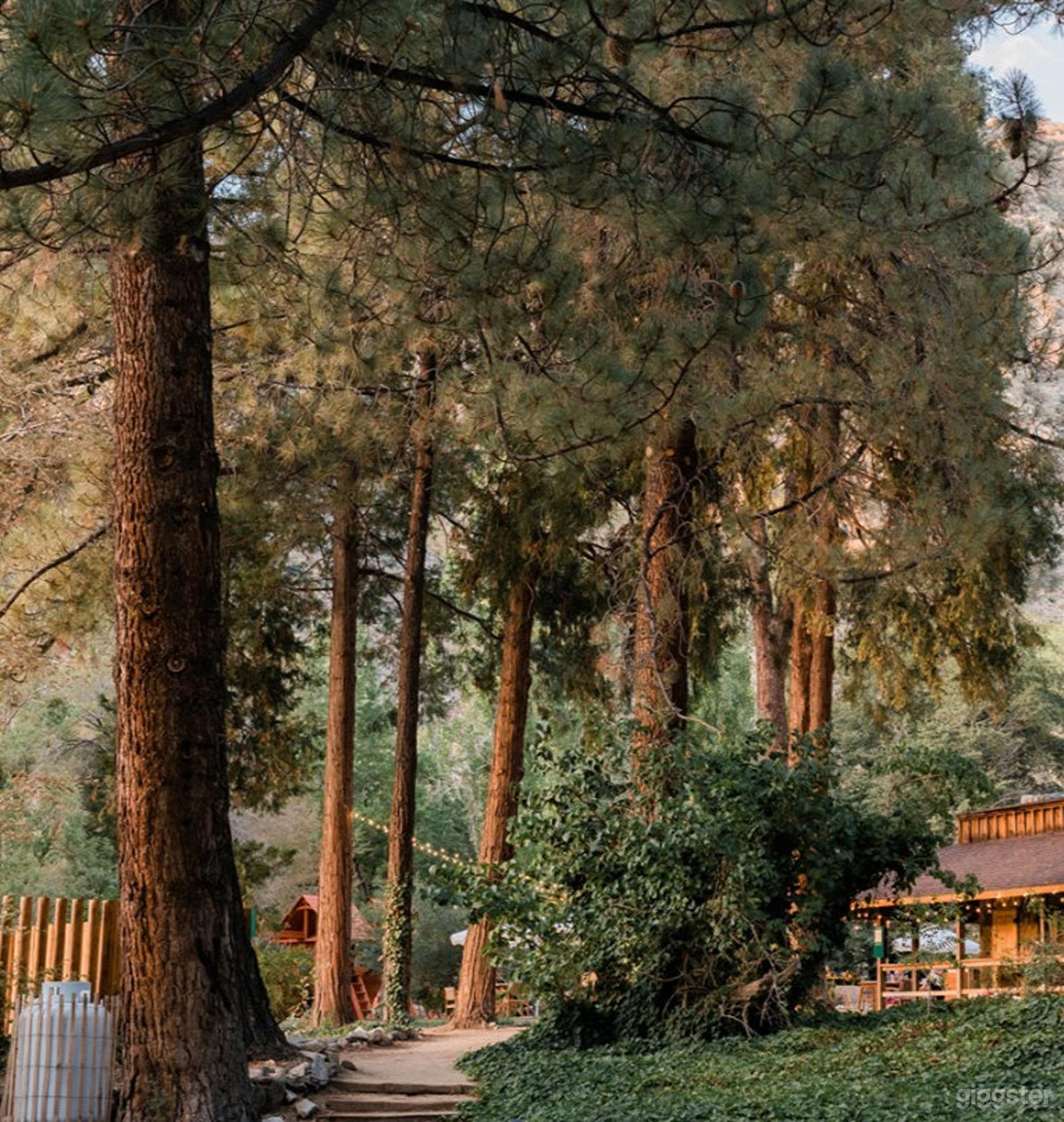 Enchanting Outdoor Space Photo 3