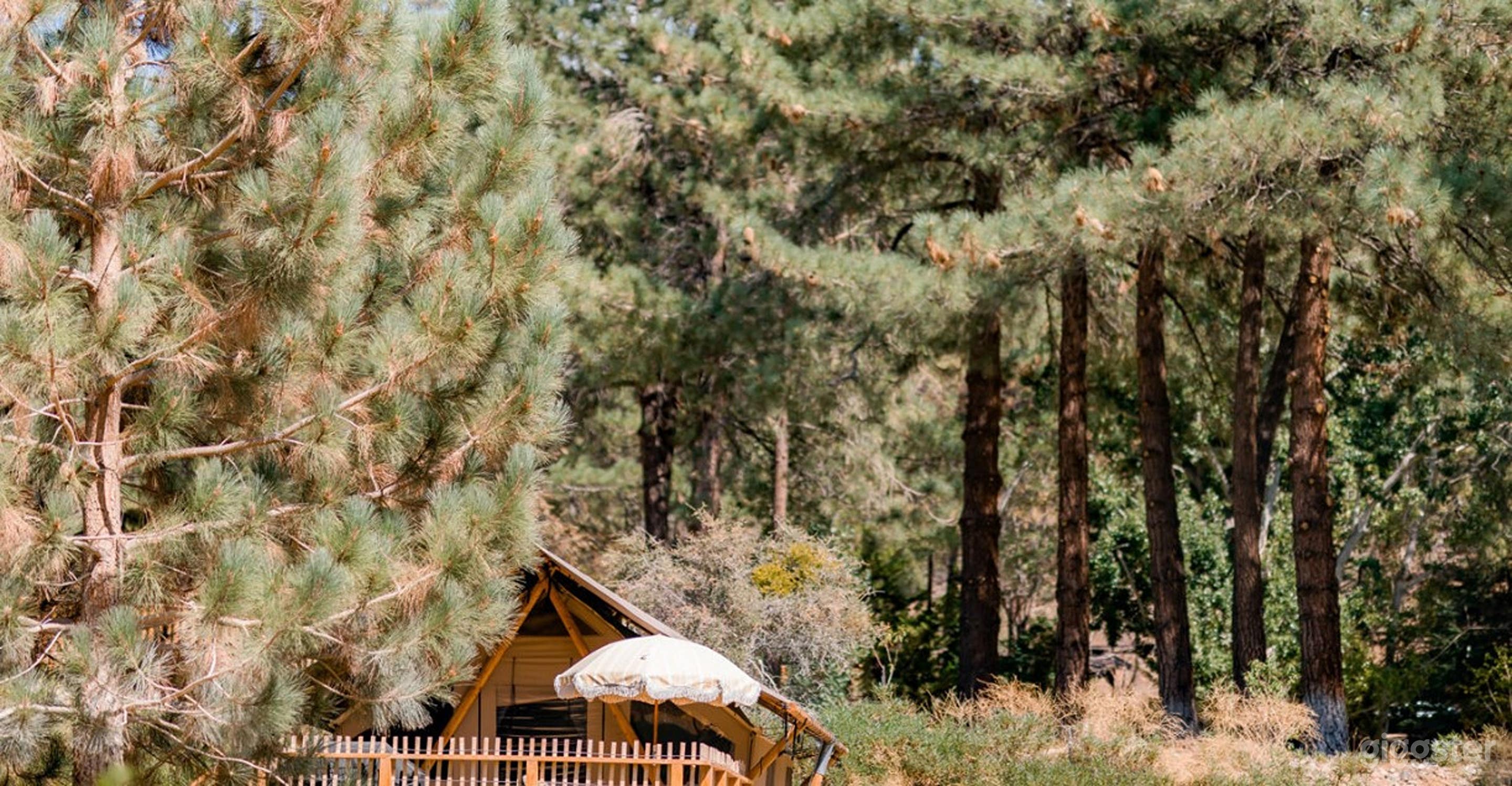 Enchanting Outdoor Space Photo 2