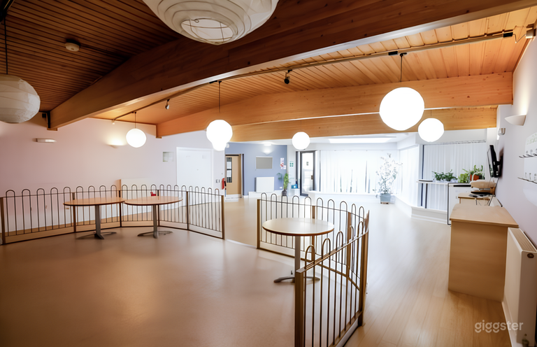  Bright and Airy St Bernard Room 