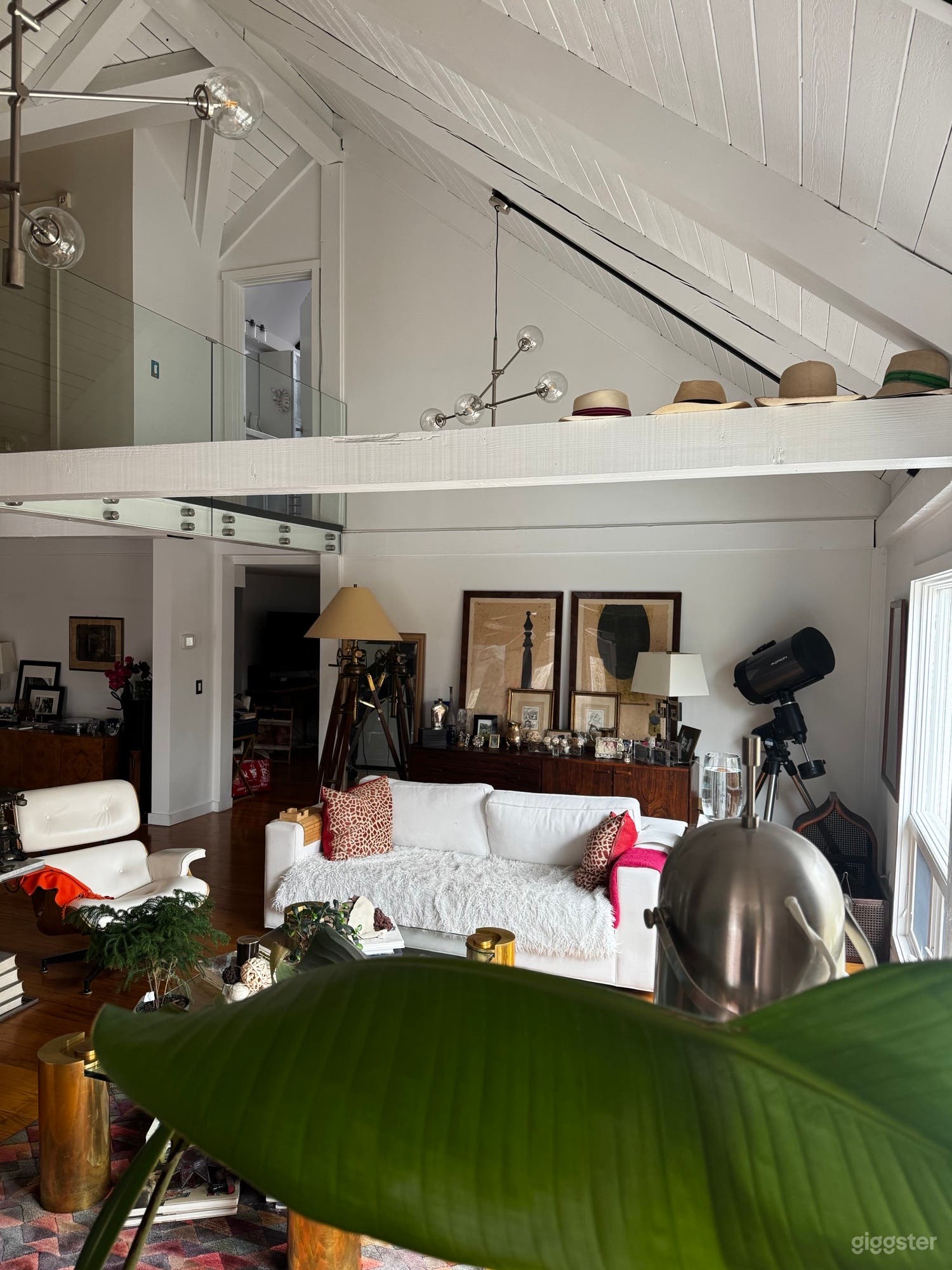Modern Architect-Owned House Photo 4