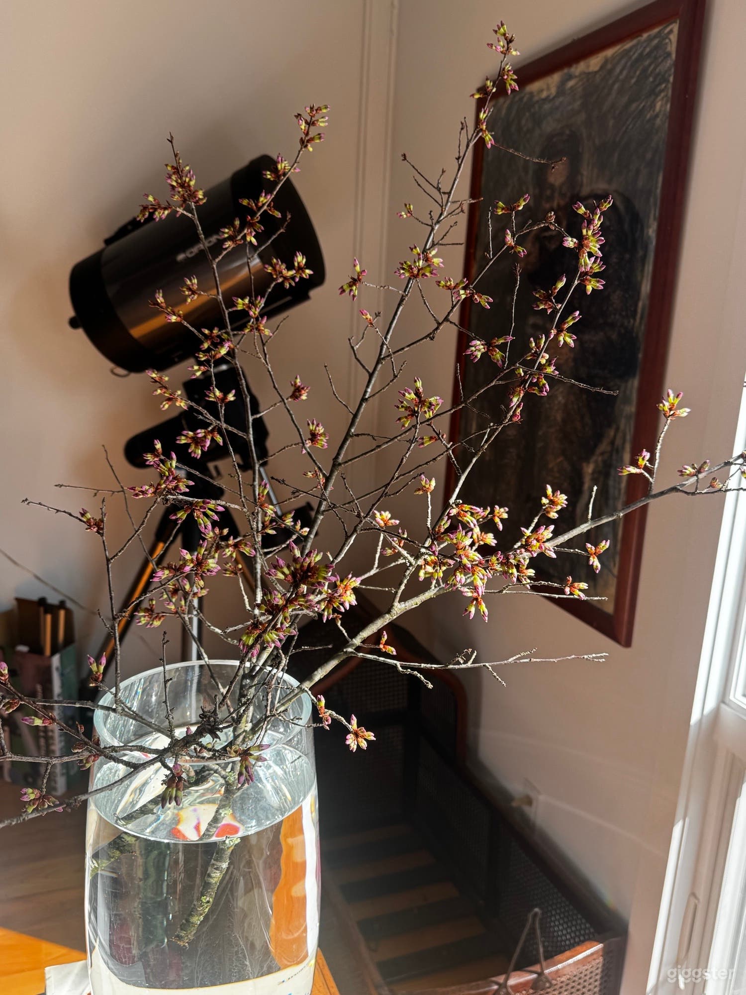 Modern Architect-Owned House Photo 3