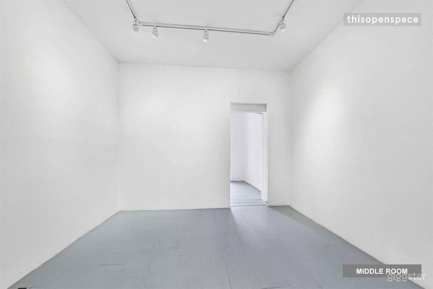 View of the second smaller room from the big front room. Adjustable track lighting and pocket door at the back that can be left open or closed.