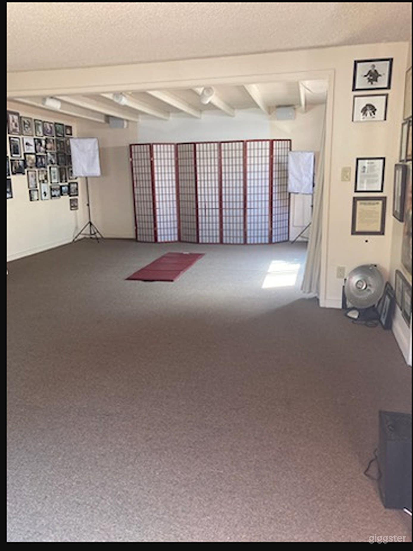 Multi-Purpose Studio for Yoga, Fitness, and Photography Photo 2