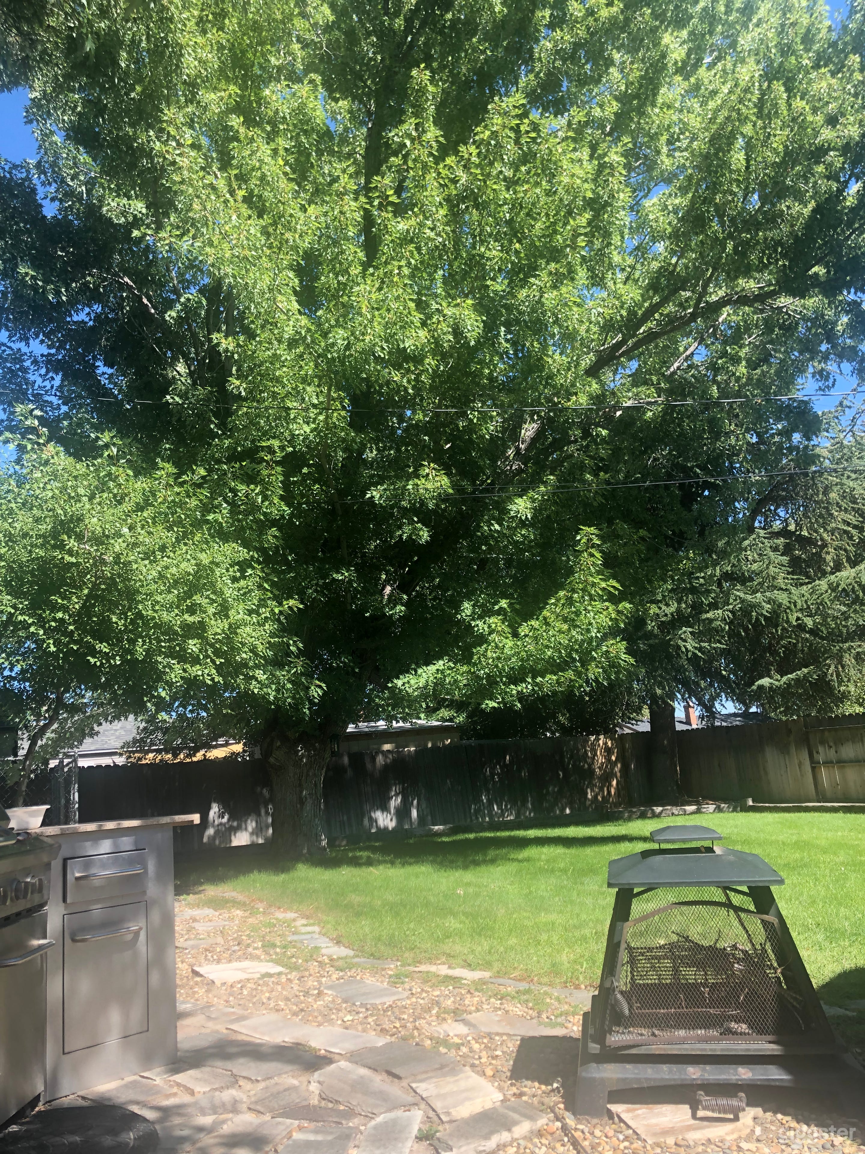 Shady backyard tree. Great for a picnic bench. Large barbecue available.
