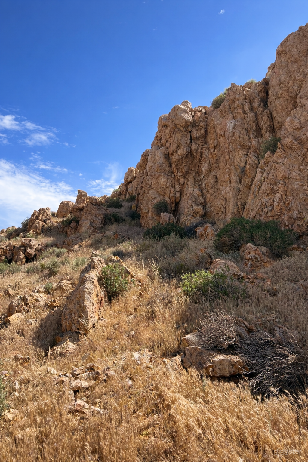 Premium Mojave Hideaway Photo 4